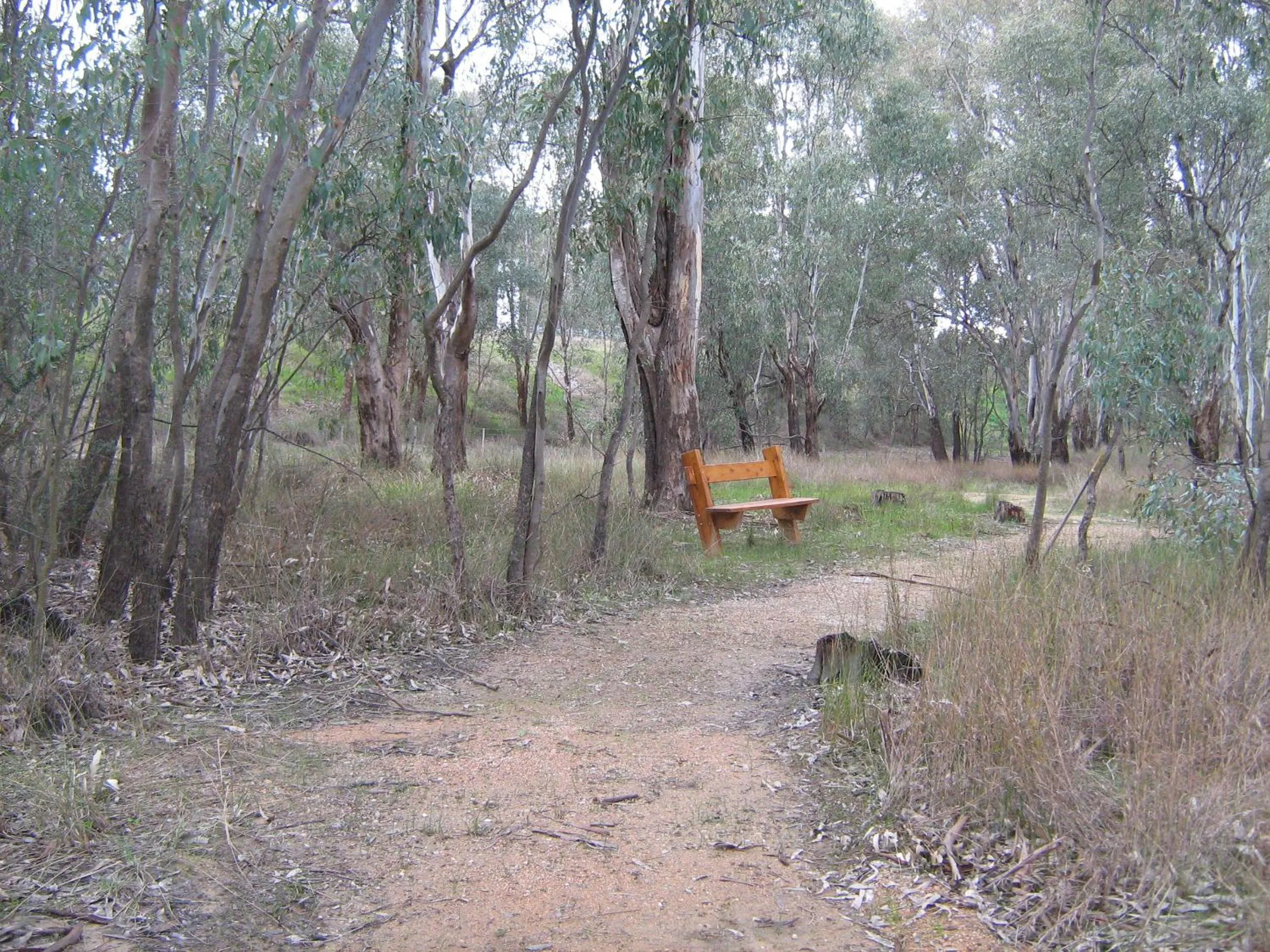 Activities in Rivergum Holiday Park