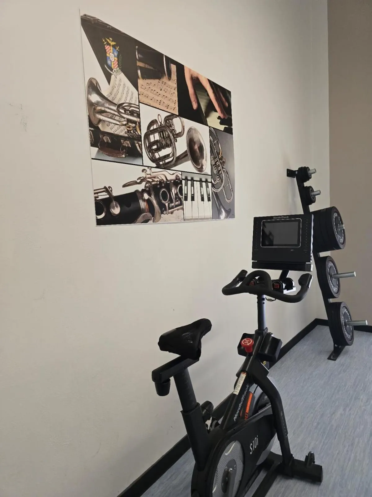 Fitness centre/facilities in Villa Terzaghi