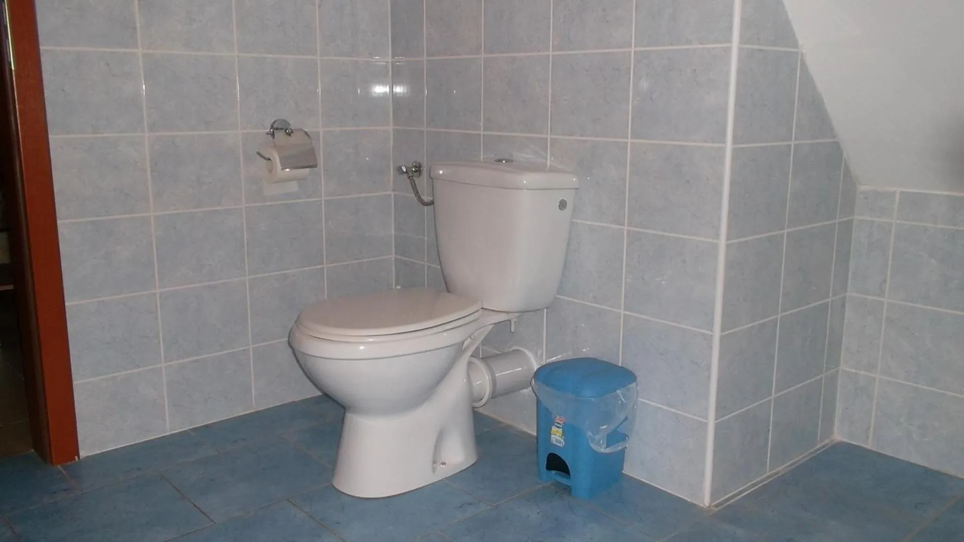 Toilet in Hotel Anenský mlýn