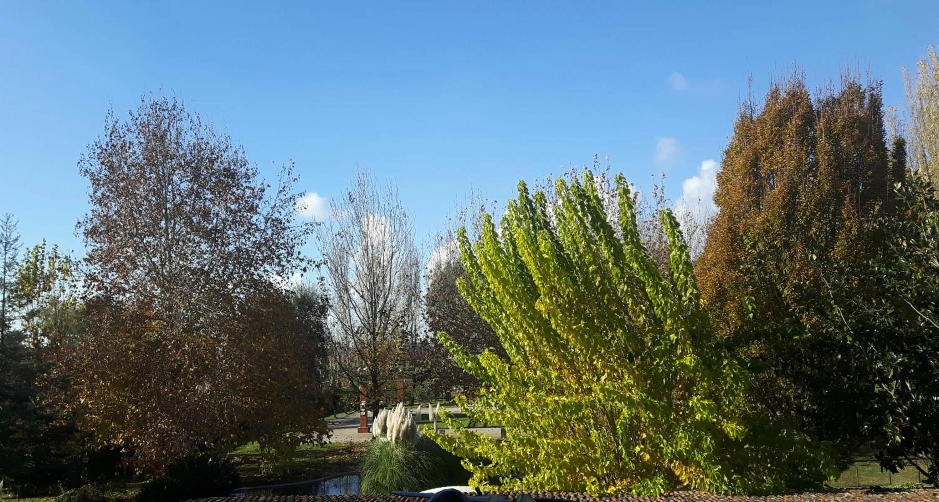 Garden view in Il Casale Corte Rossa