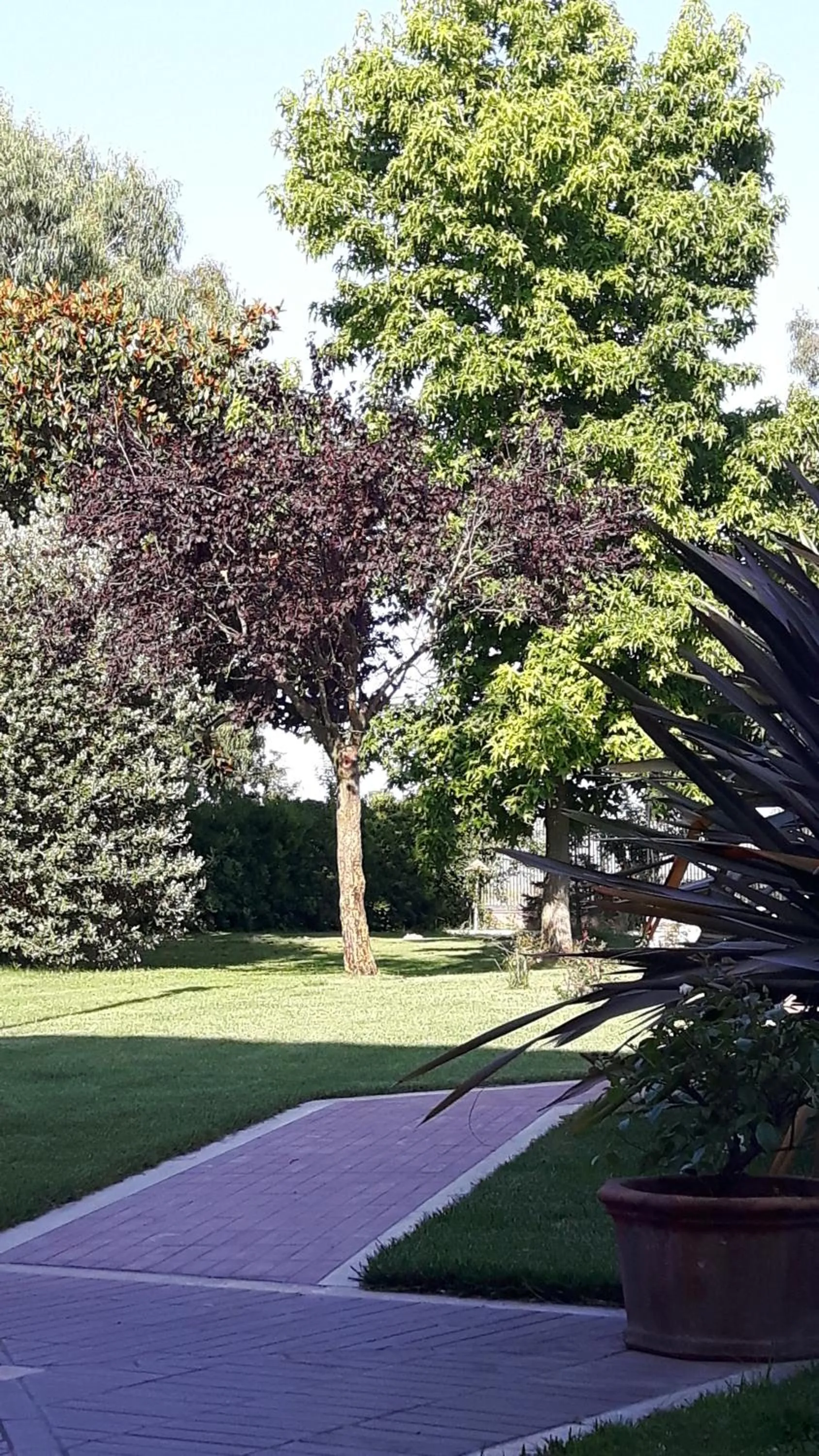 Il Casale Corte Rossa