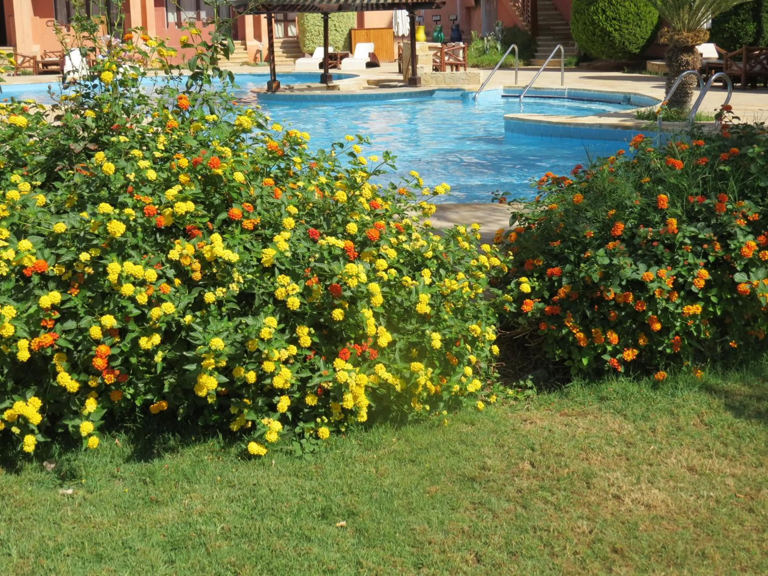 Garden view in Africana Hotel & Spa