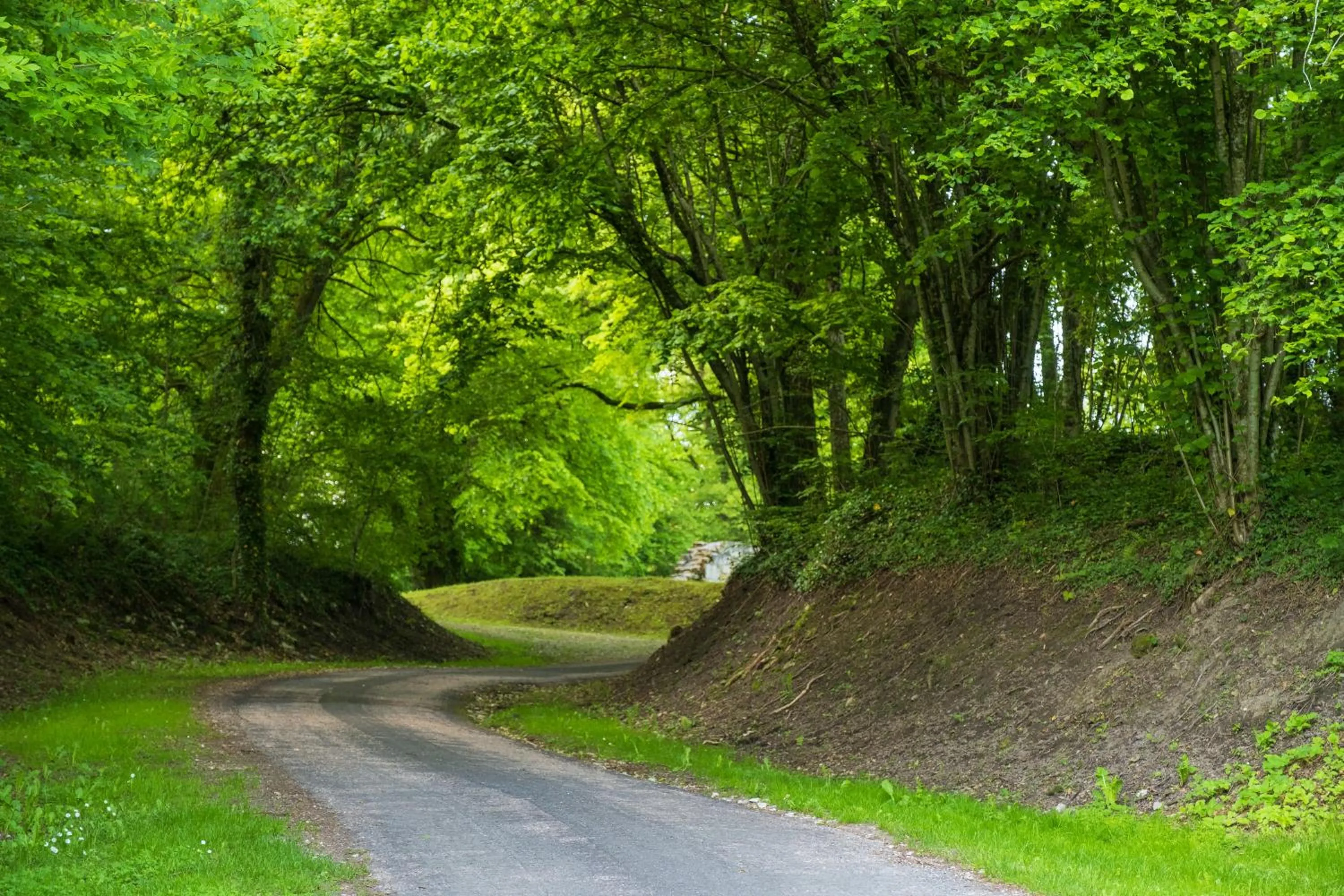 Neighbourhood in Arara