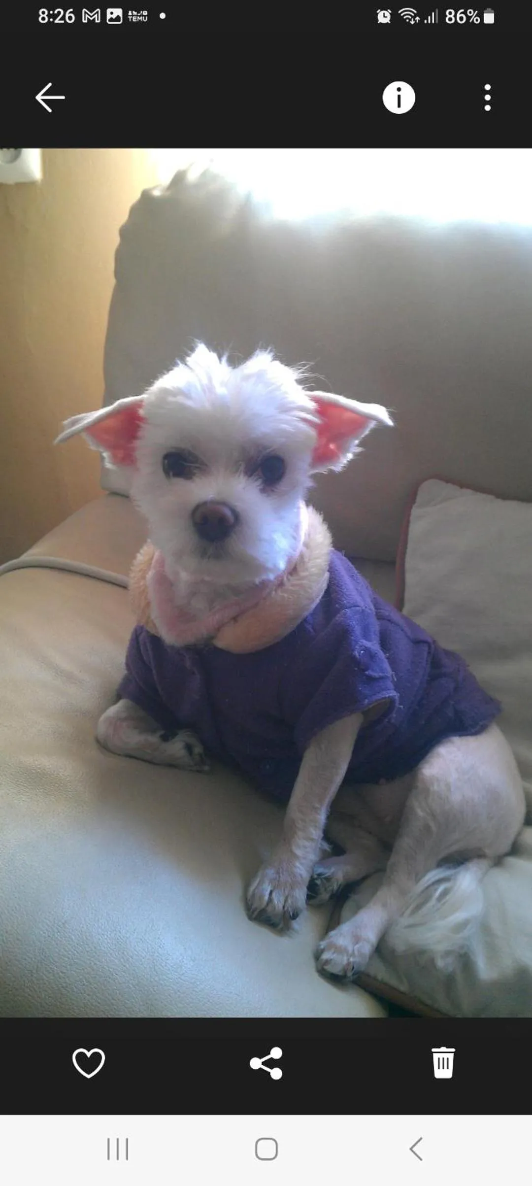 Hotel Ecologico Toral