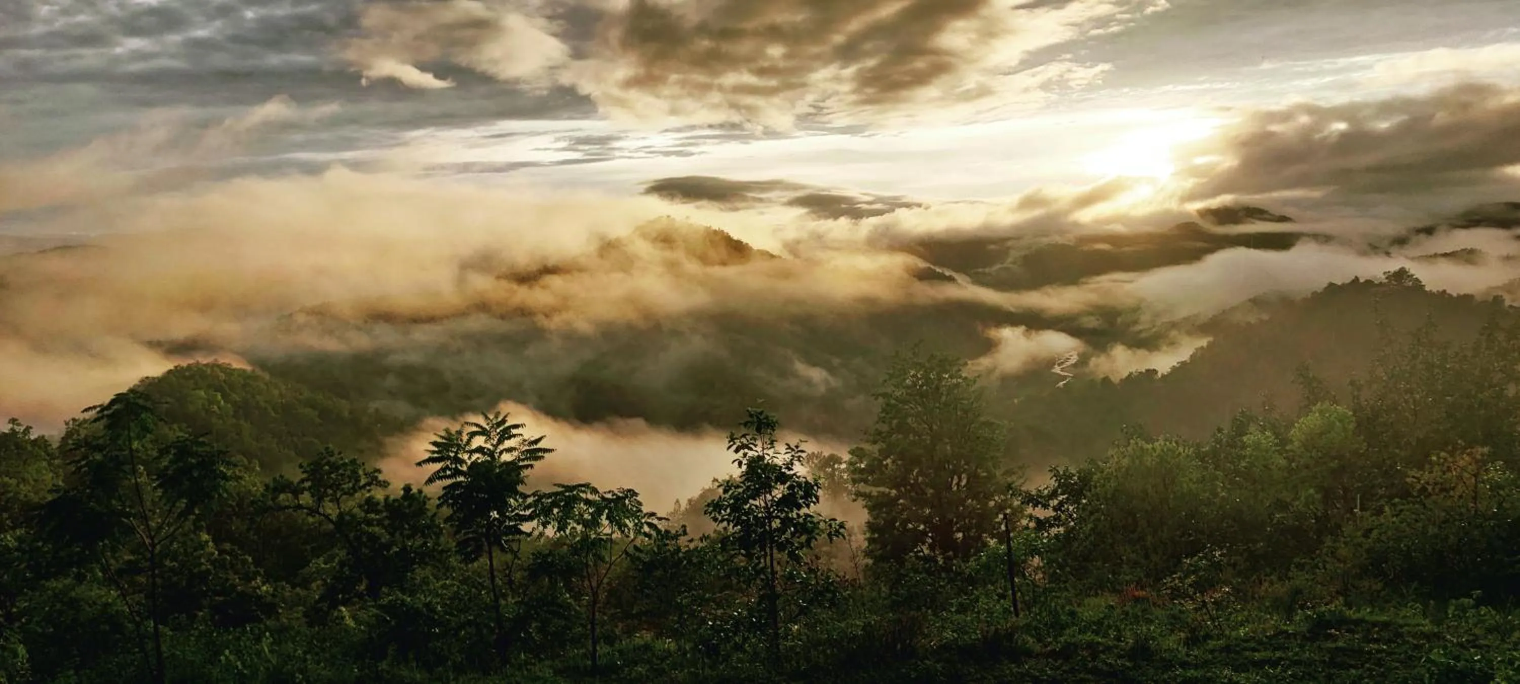 Pool view in LaHermitage Resort