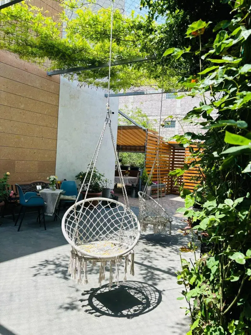 Garden view in Alex Hotel Garden view in Alex Hotel