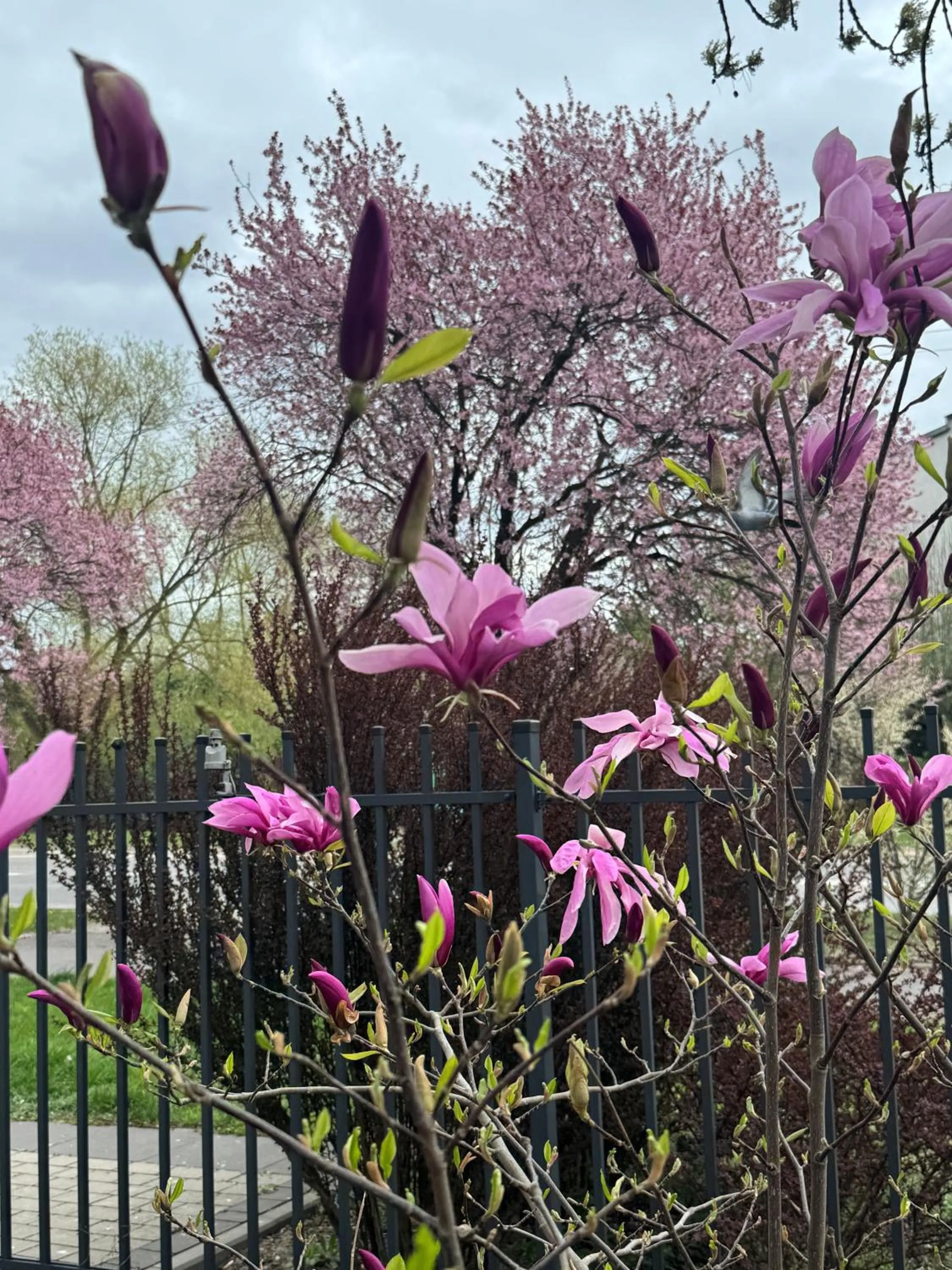 Spring in Abton Hotel