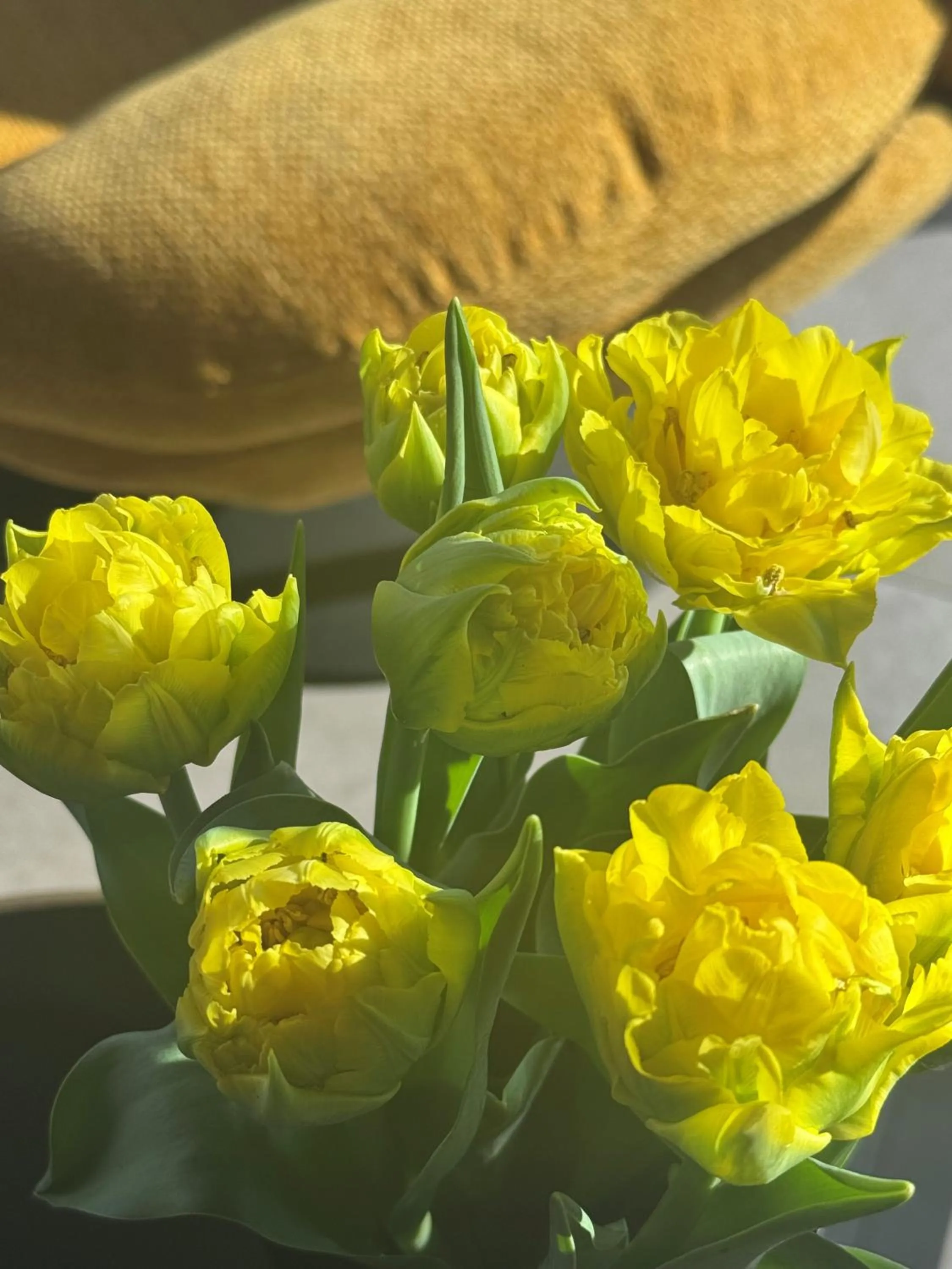 Property building in Abton Hotel