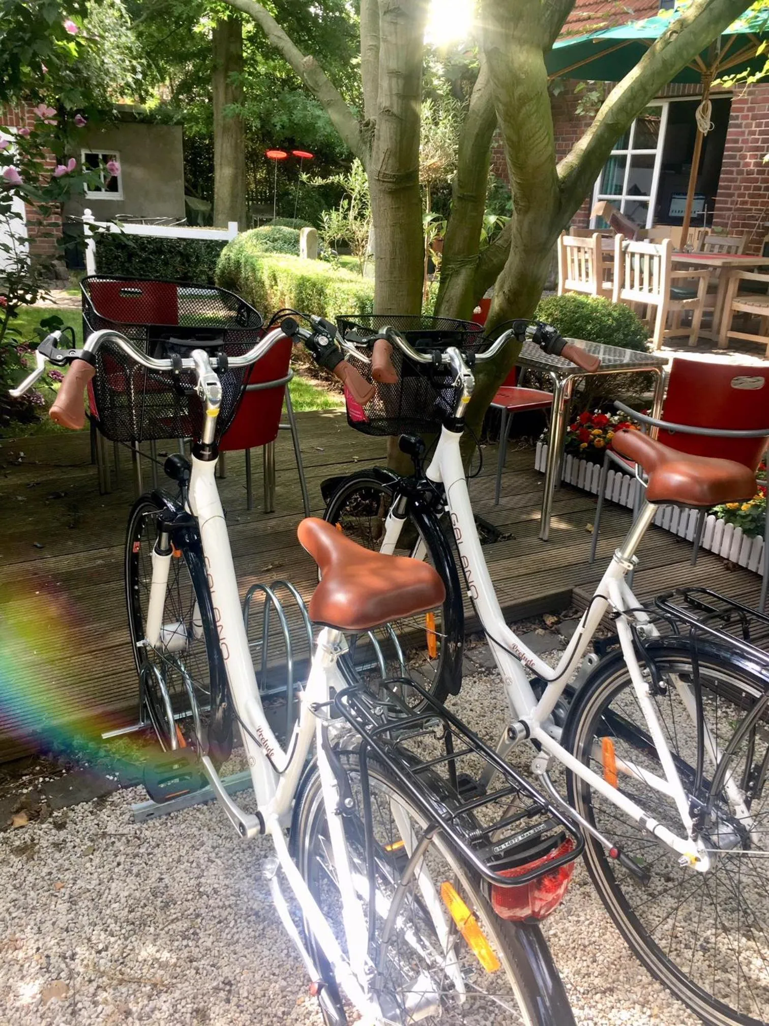 Cycling in Lilis kleines Hotel