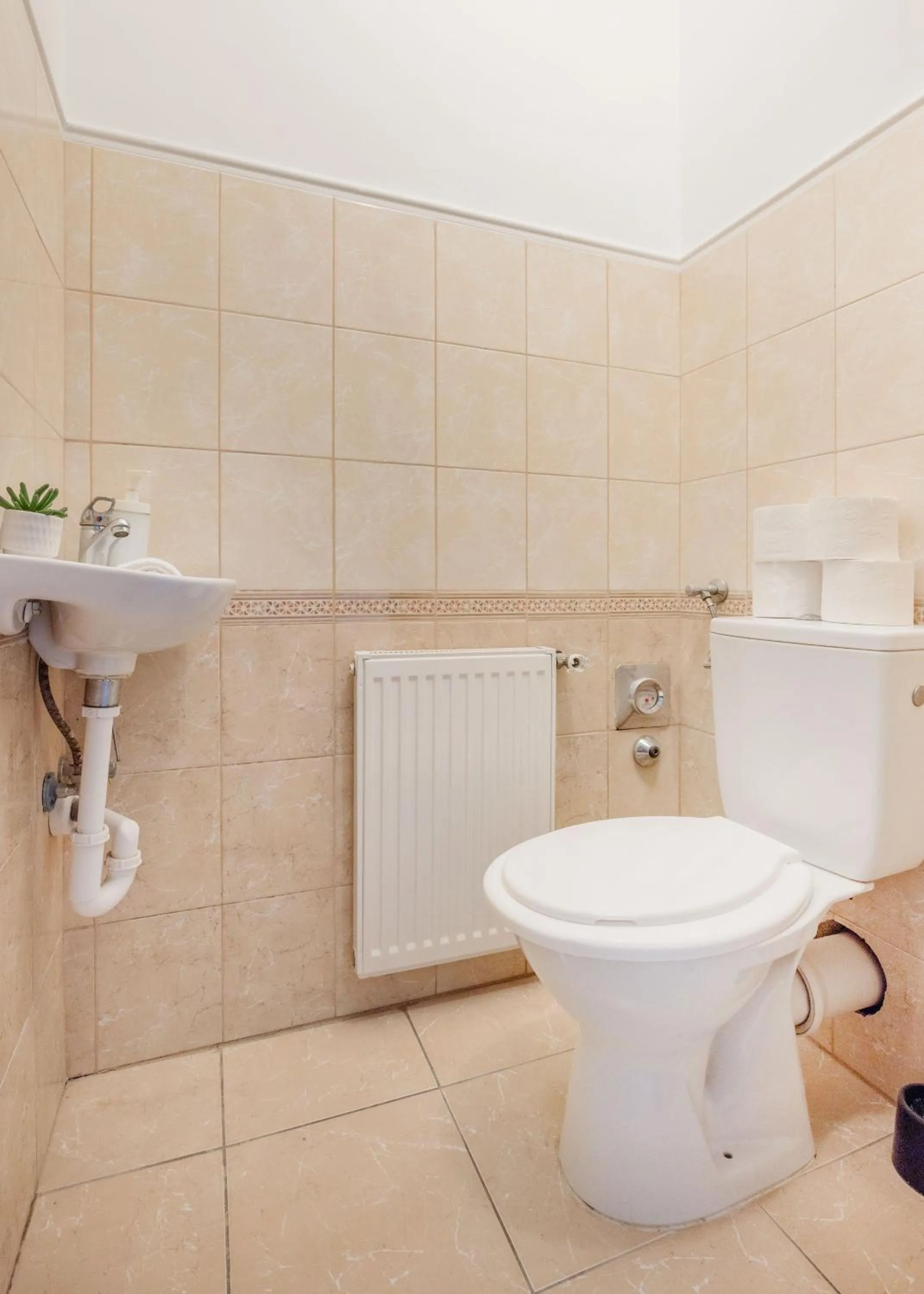 Bathroom in Grand Budapest Penthouse