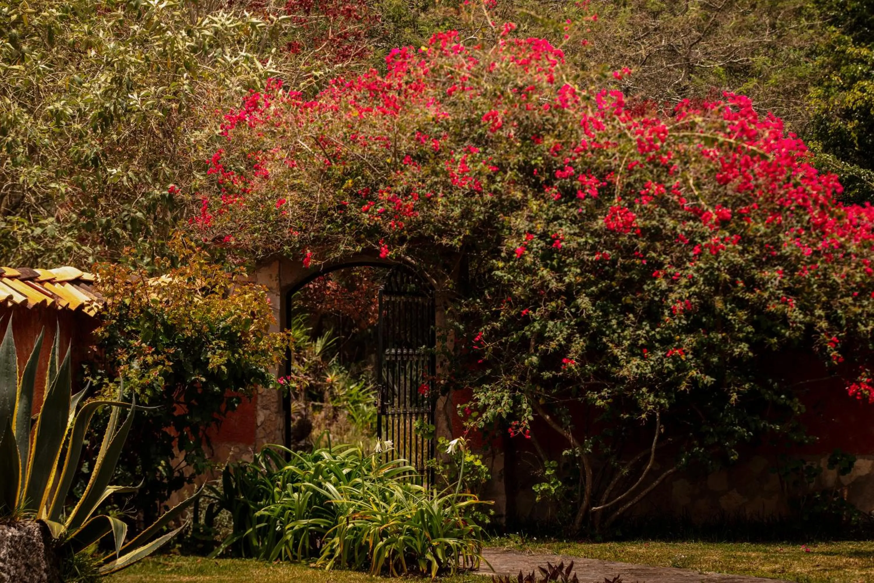 Hotel Fundo Achamaqui