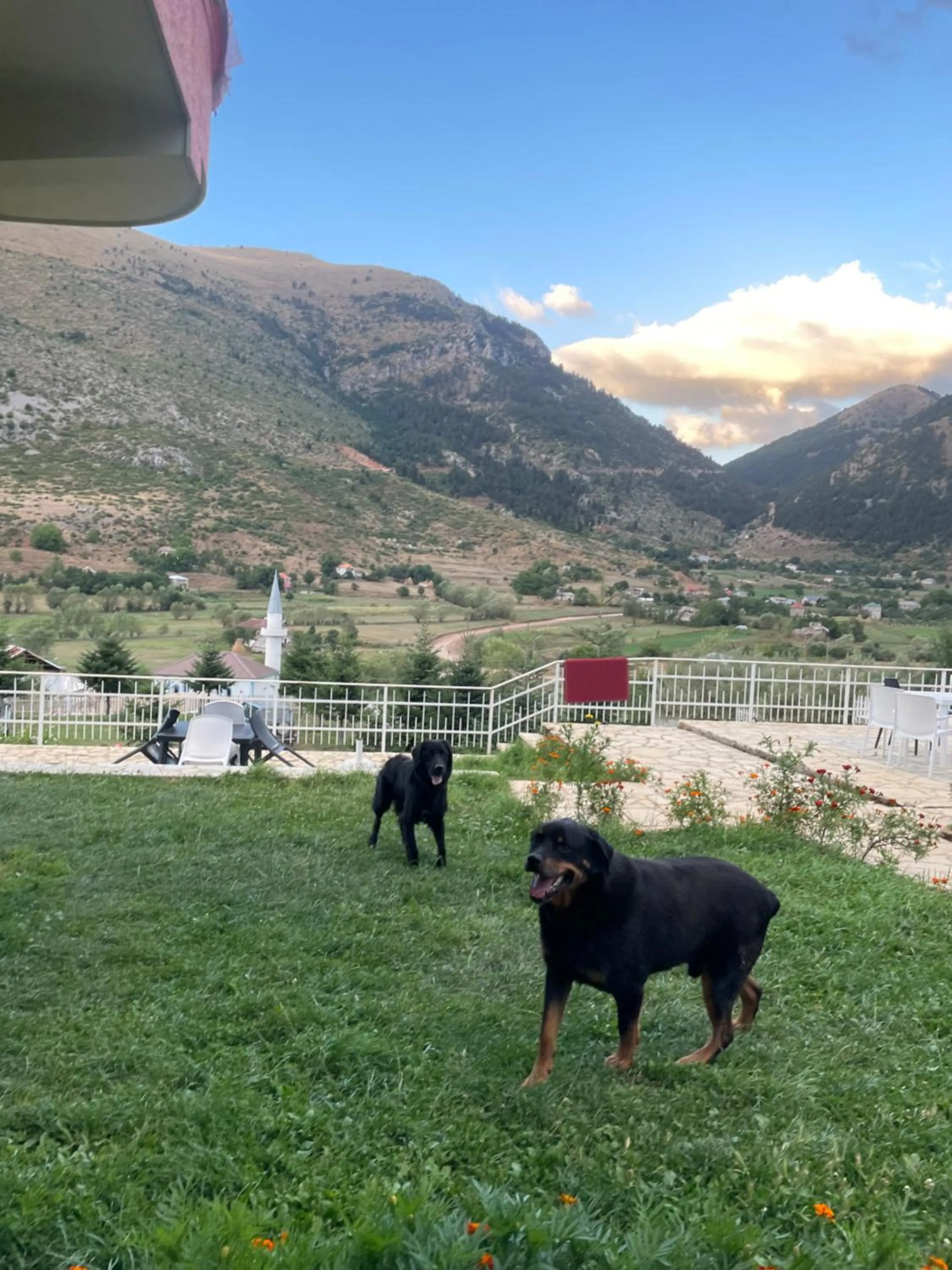 Day in LURA Hotel