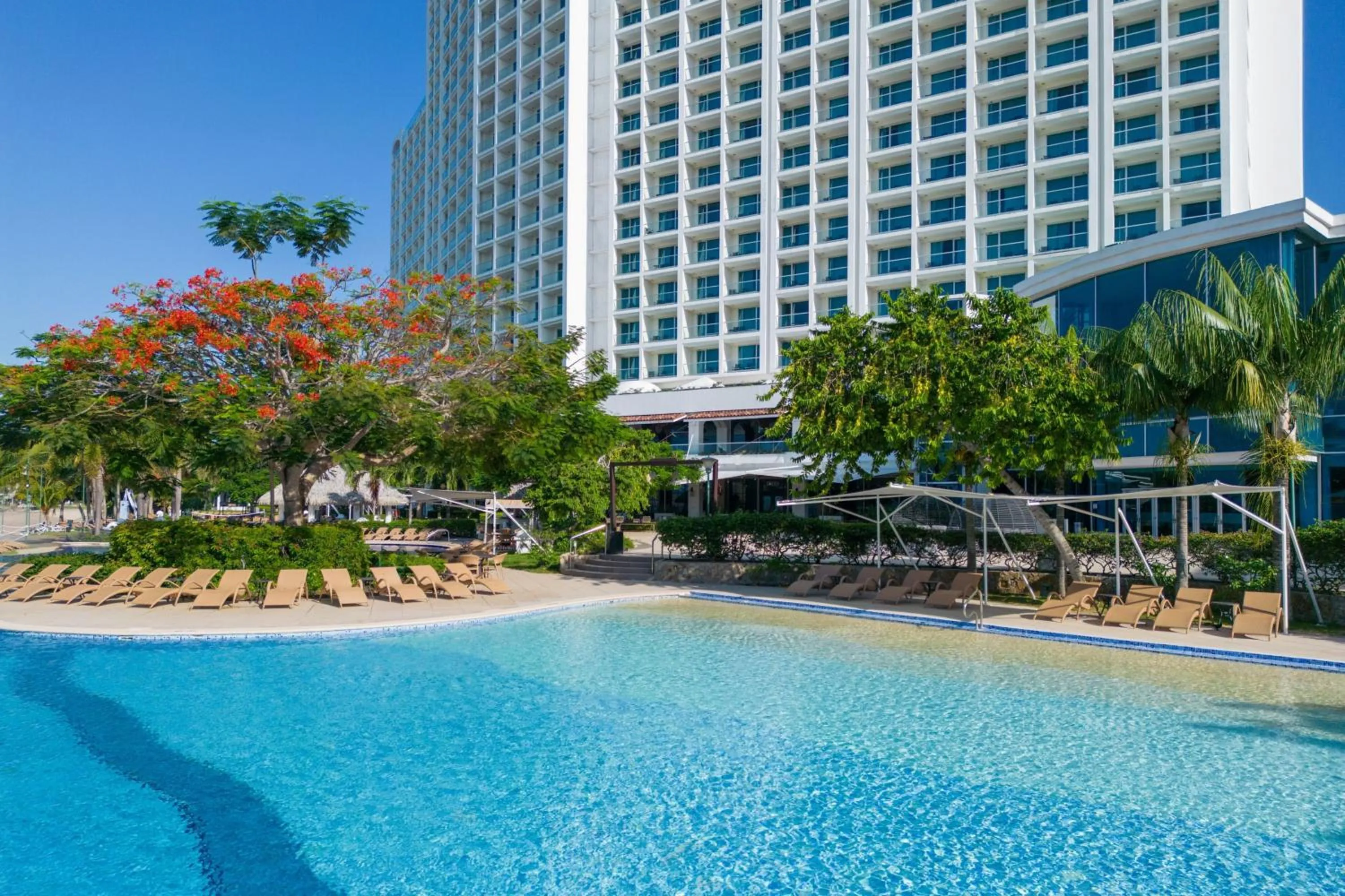 Swimming pool in The Westin Playa Bonita Panama