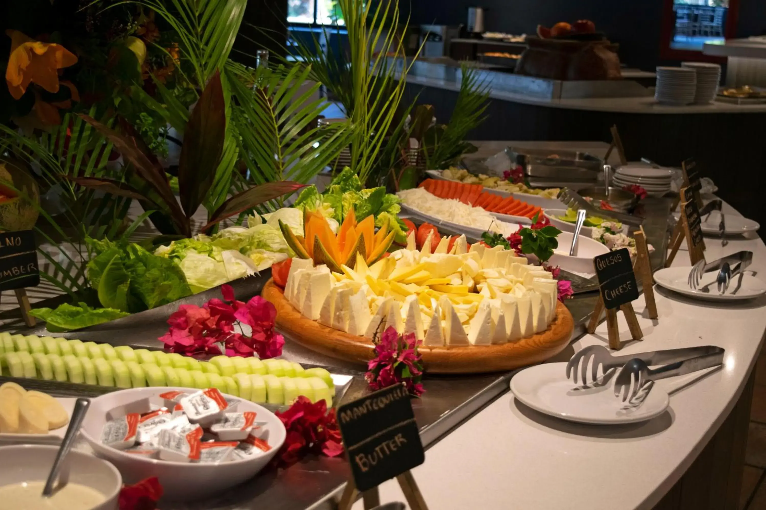 Food and drinks in Reef Yucatán All Inclusive & Convention Center Food and drinks in Reef Yucatán All Inclusive & Convention Center