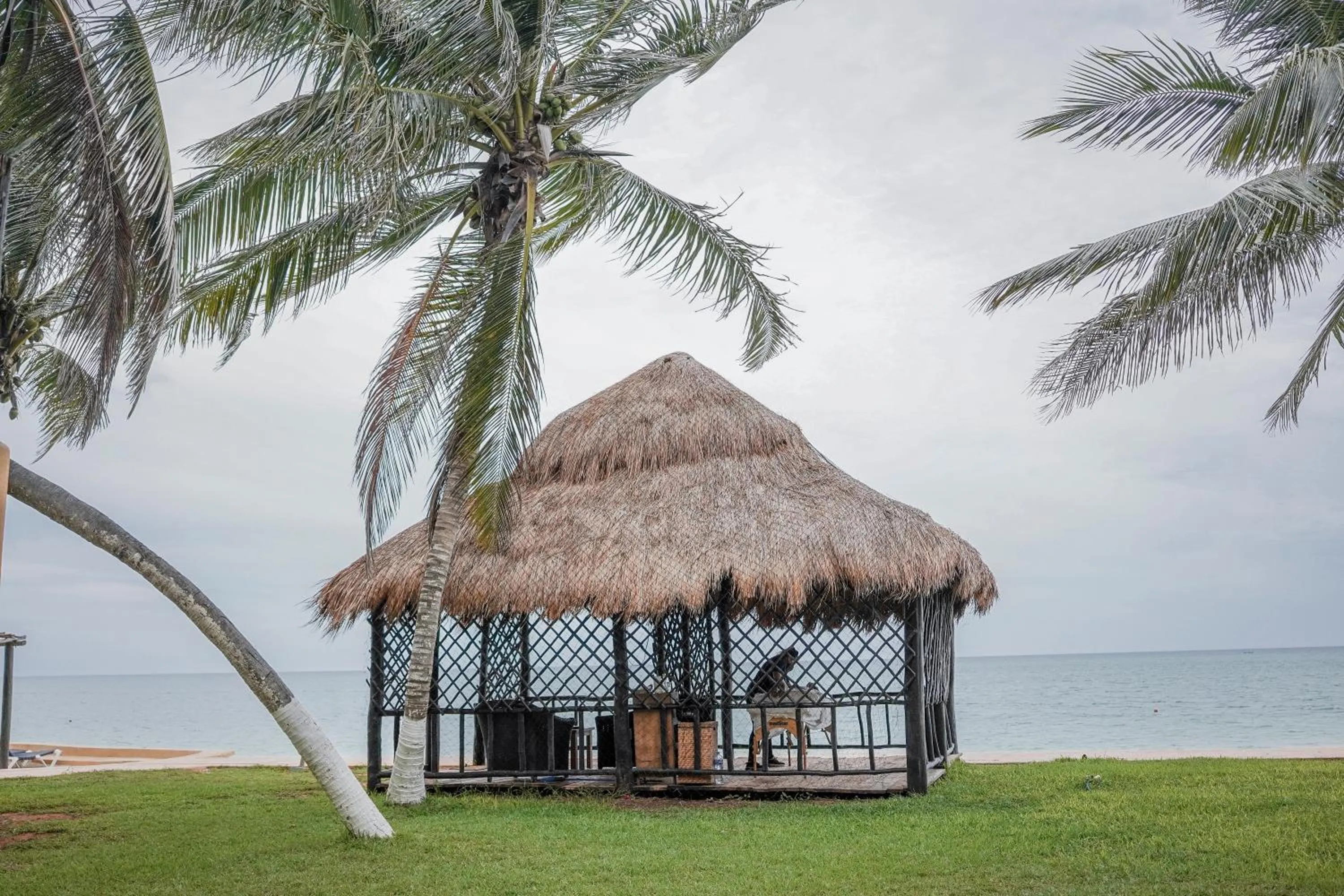 Natural landscape in Reef Yucatán All Inclusive & Convention Center