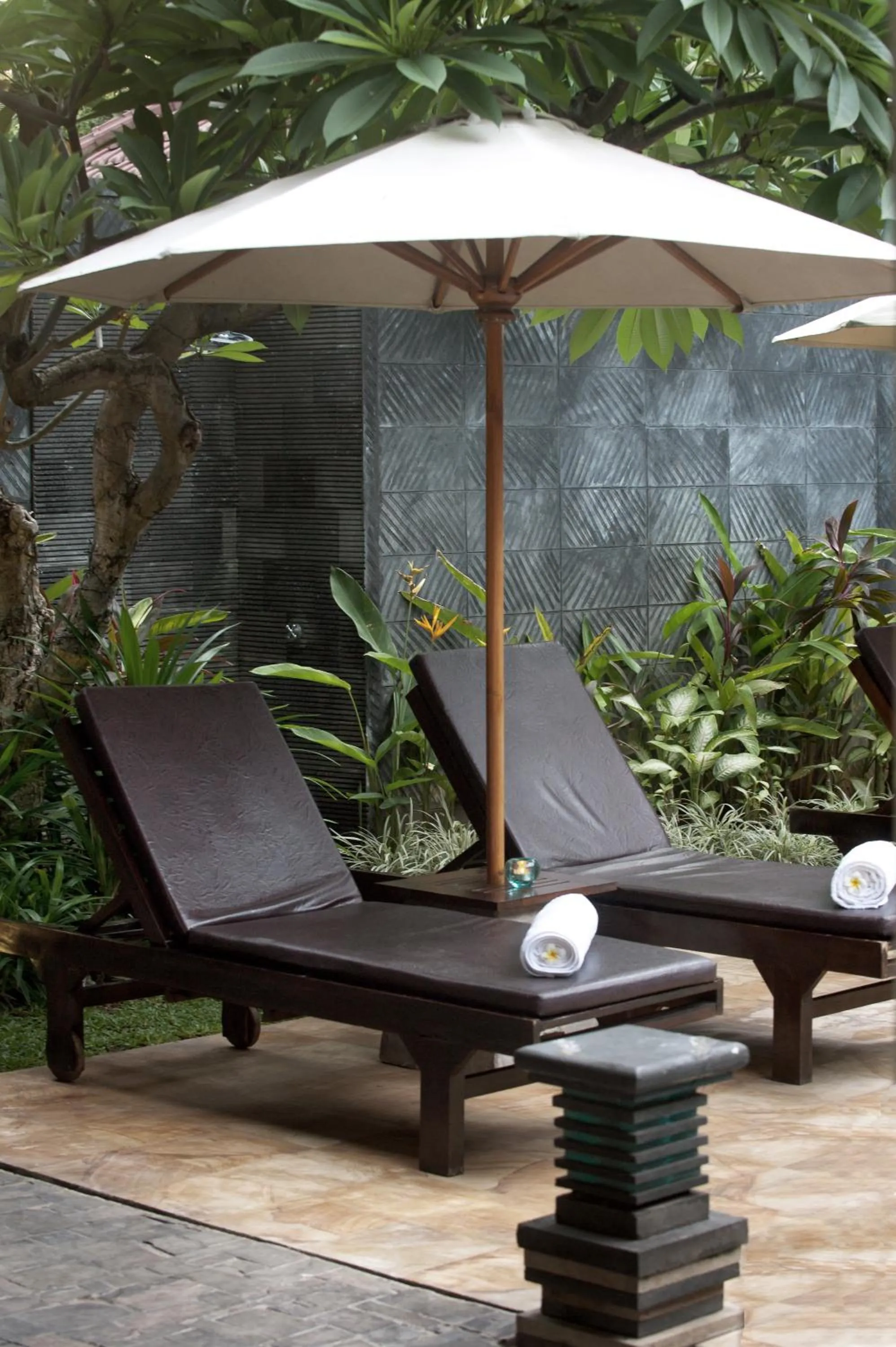 Garden in Villa Teman