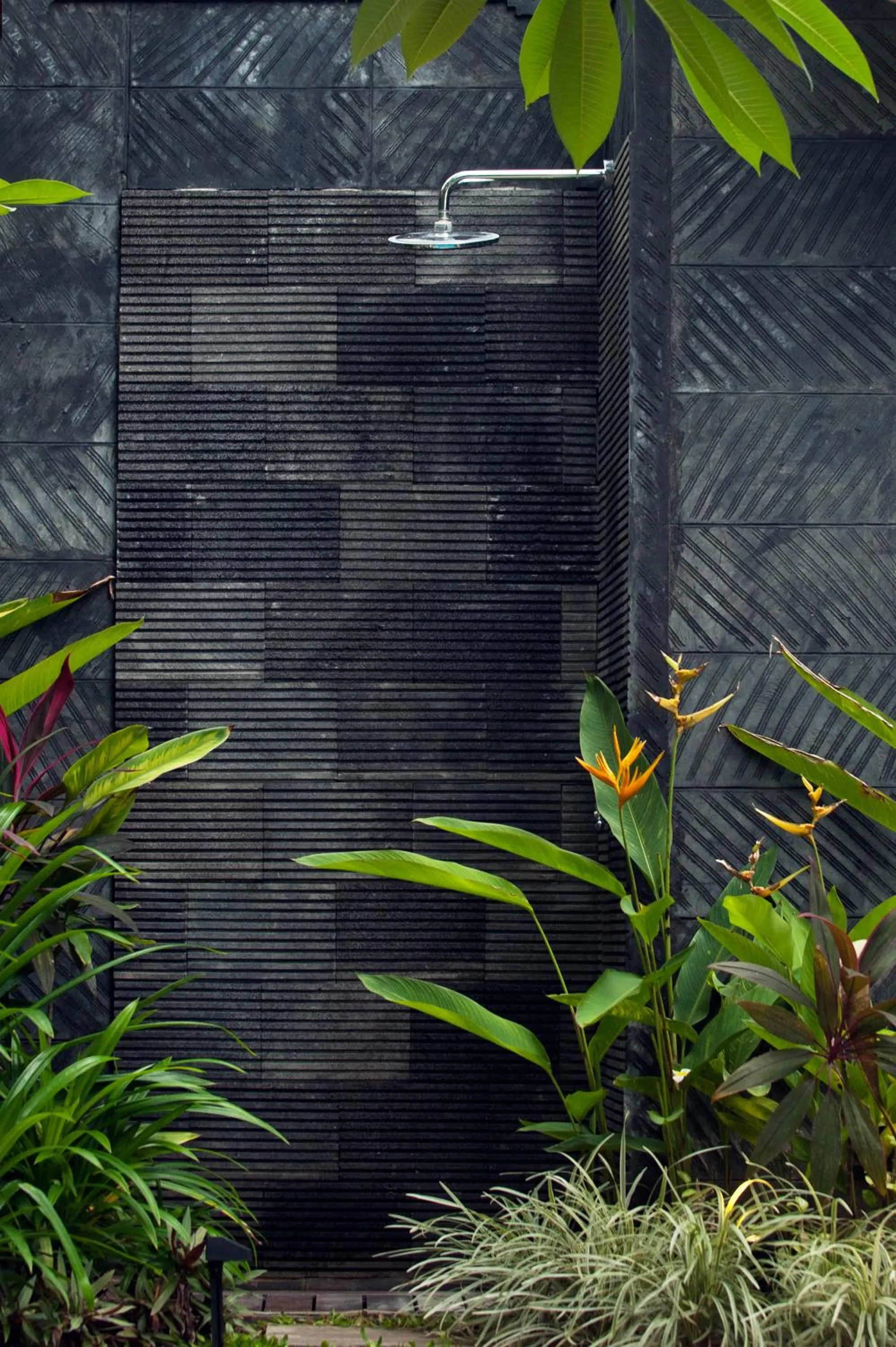 Garden in Villa Teman