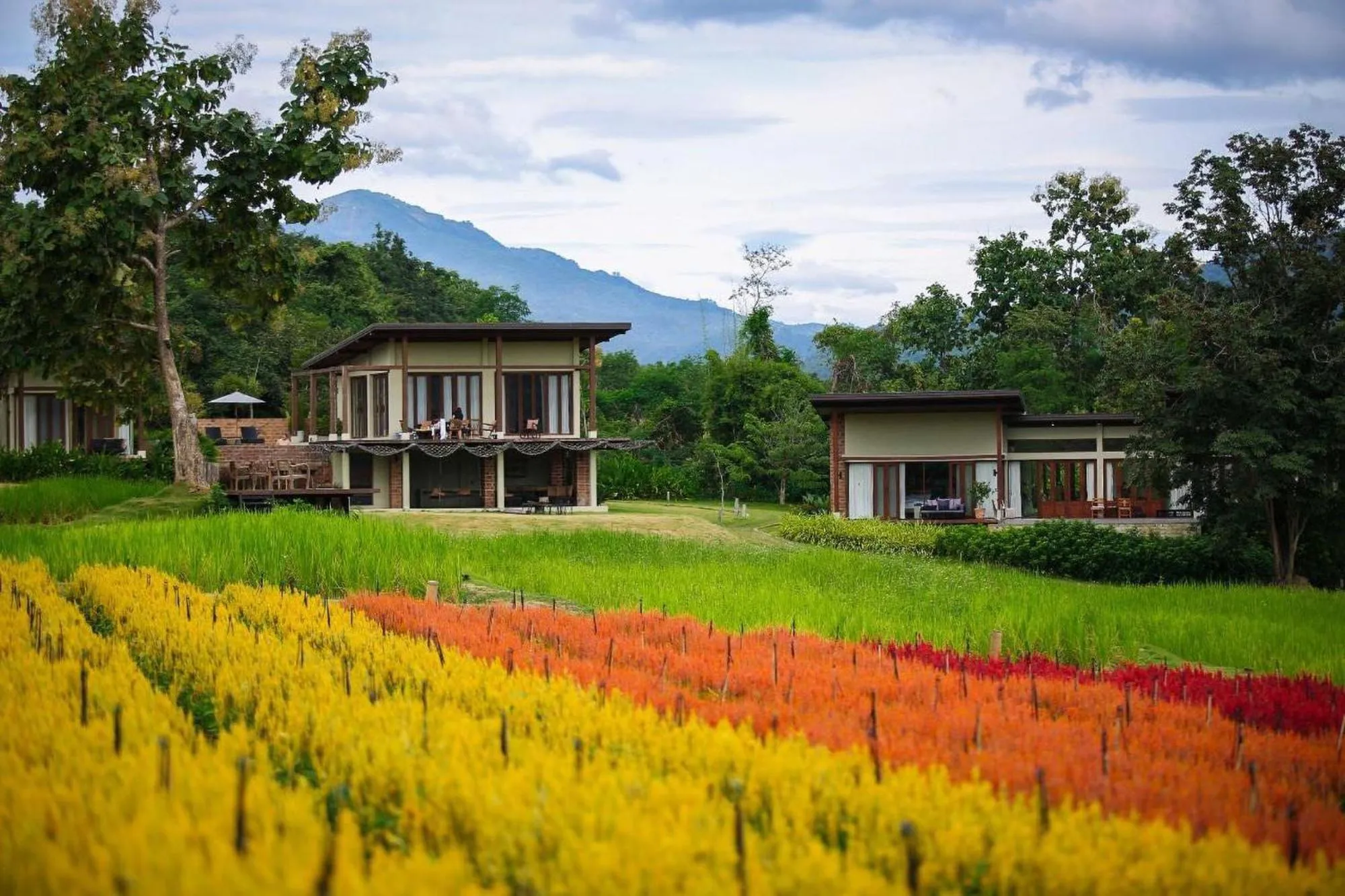 Garden in Puripai Villa