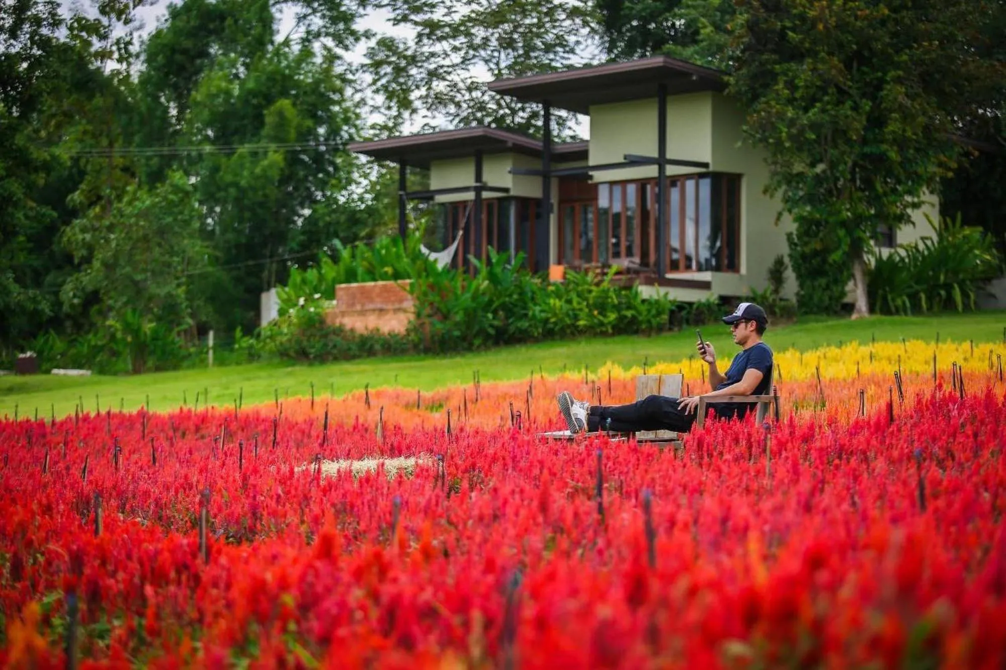 Garden in Puripai Villa