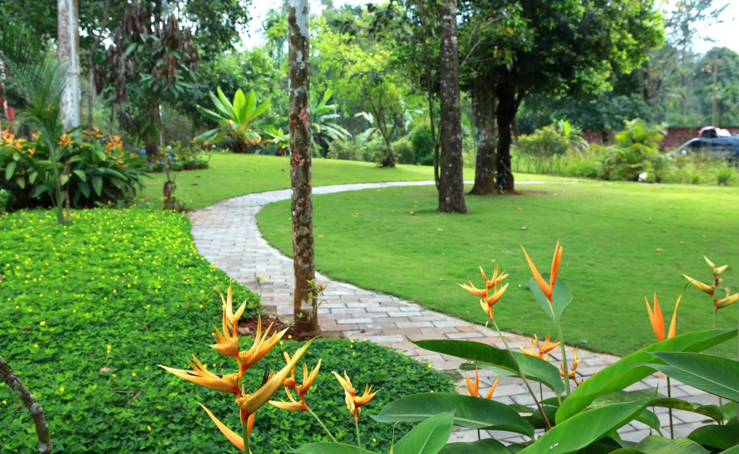 Garden in Vythiri Village