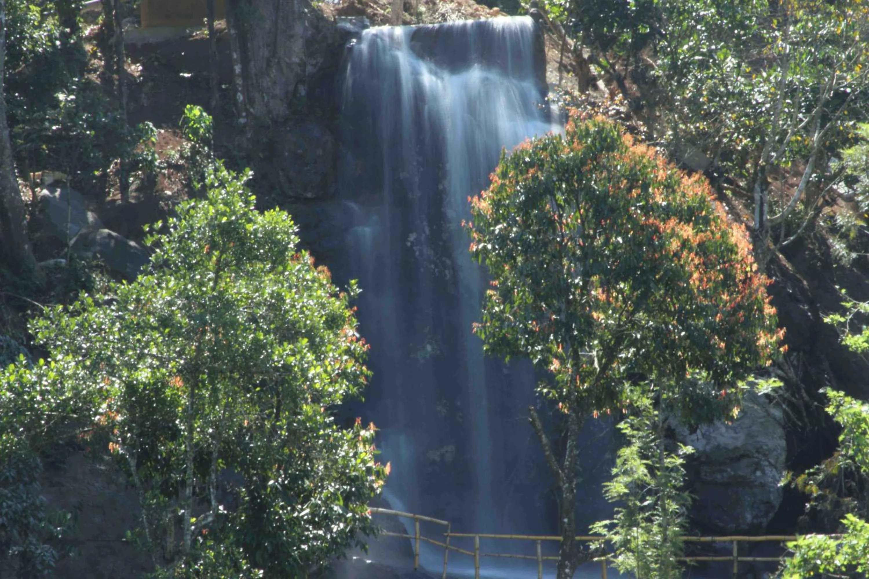 Area and facilities in Vythiri Village