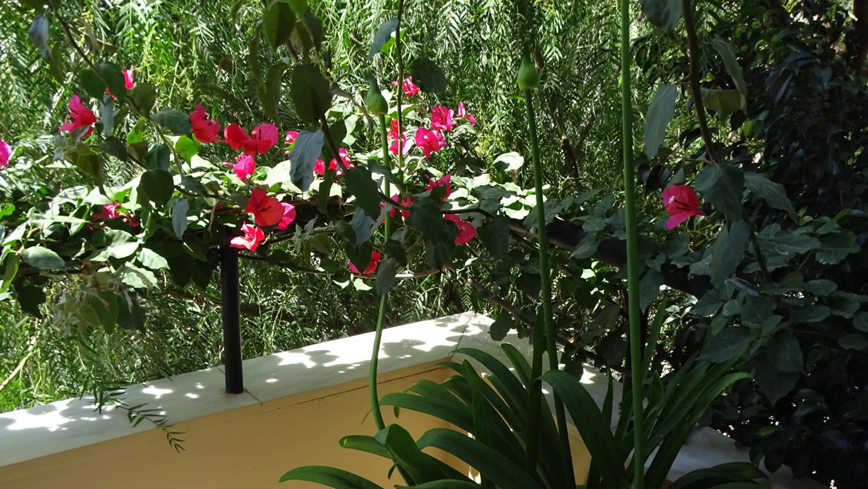 Spring in Artemis GreenHill