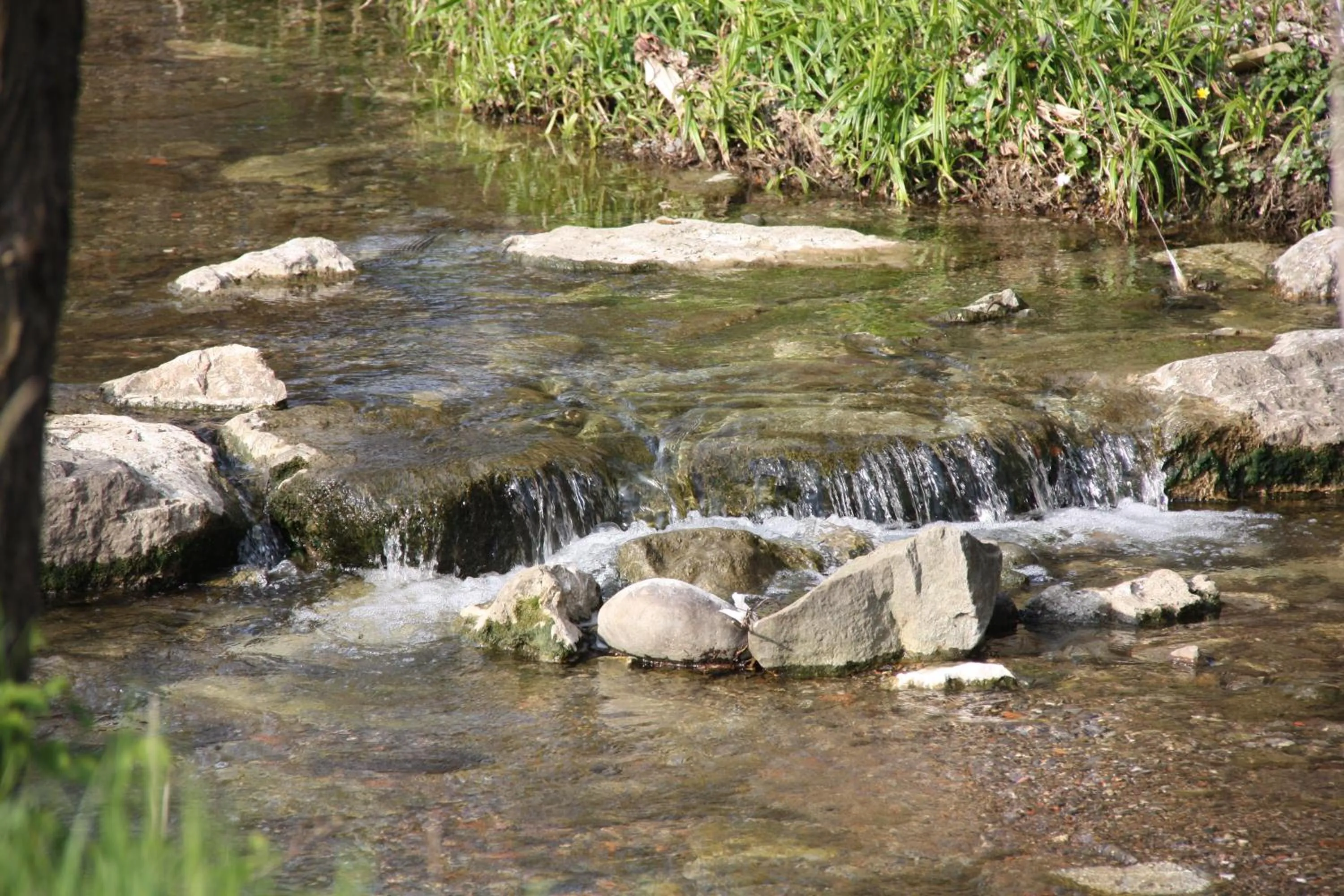 Area and facilities in Dimora del Riccio