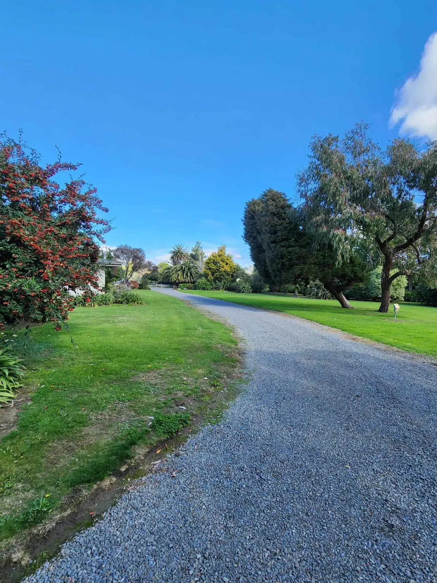 Cabin with Shared Bathroom - single occupancy in Bulls Motel & Holiday Park Cabin with Shared Bathroom - single occupancy in Bulls Motel & Holiday Park