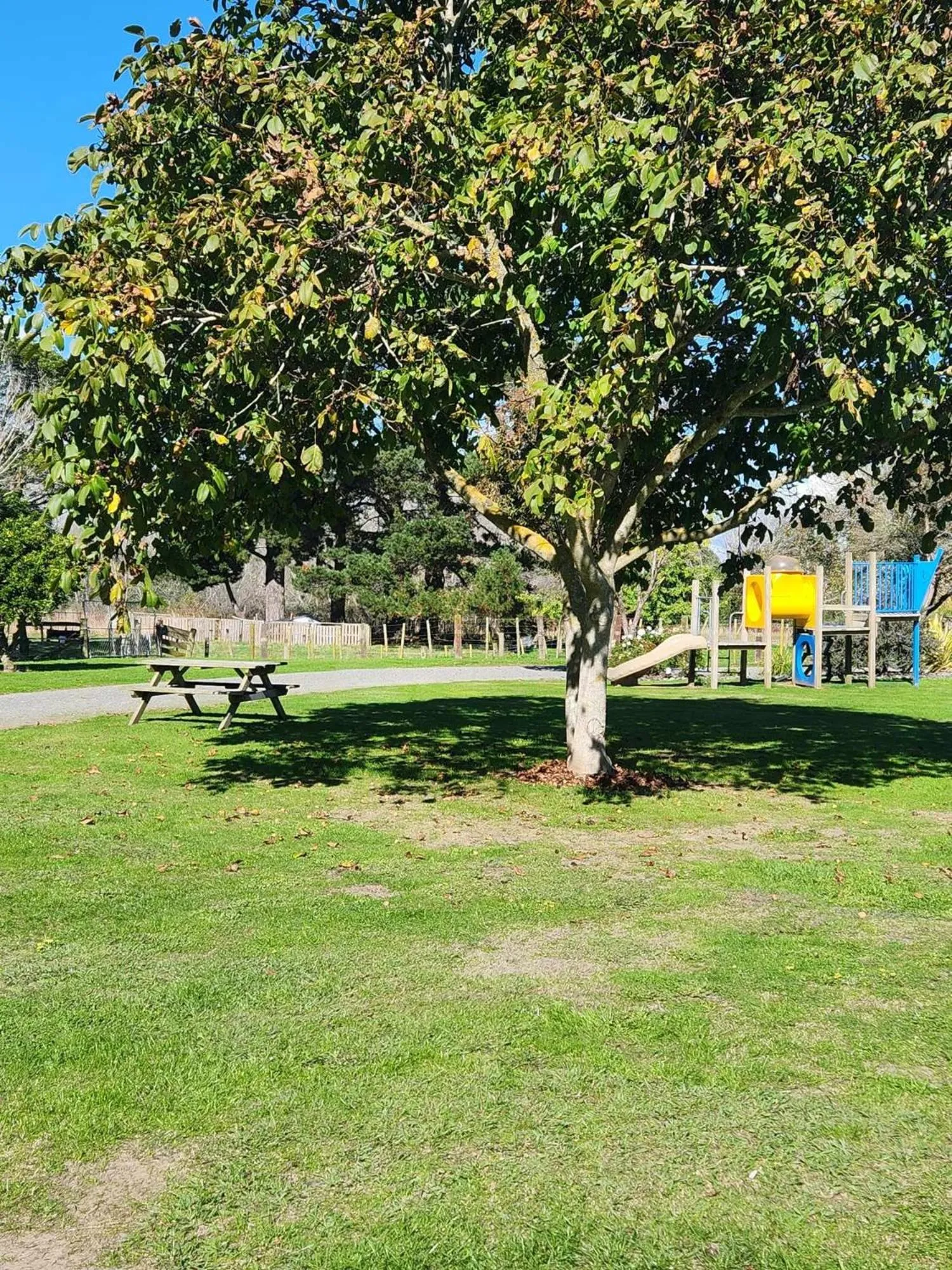 Natural landscape in Bulls Motel & Holiday Park