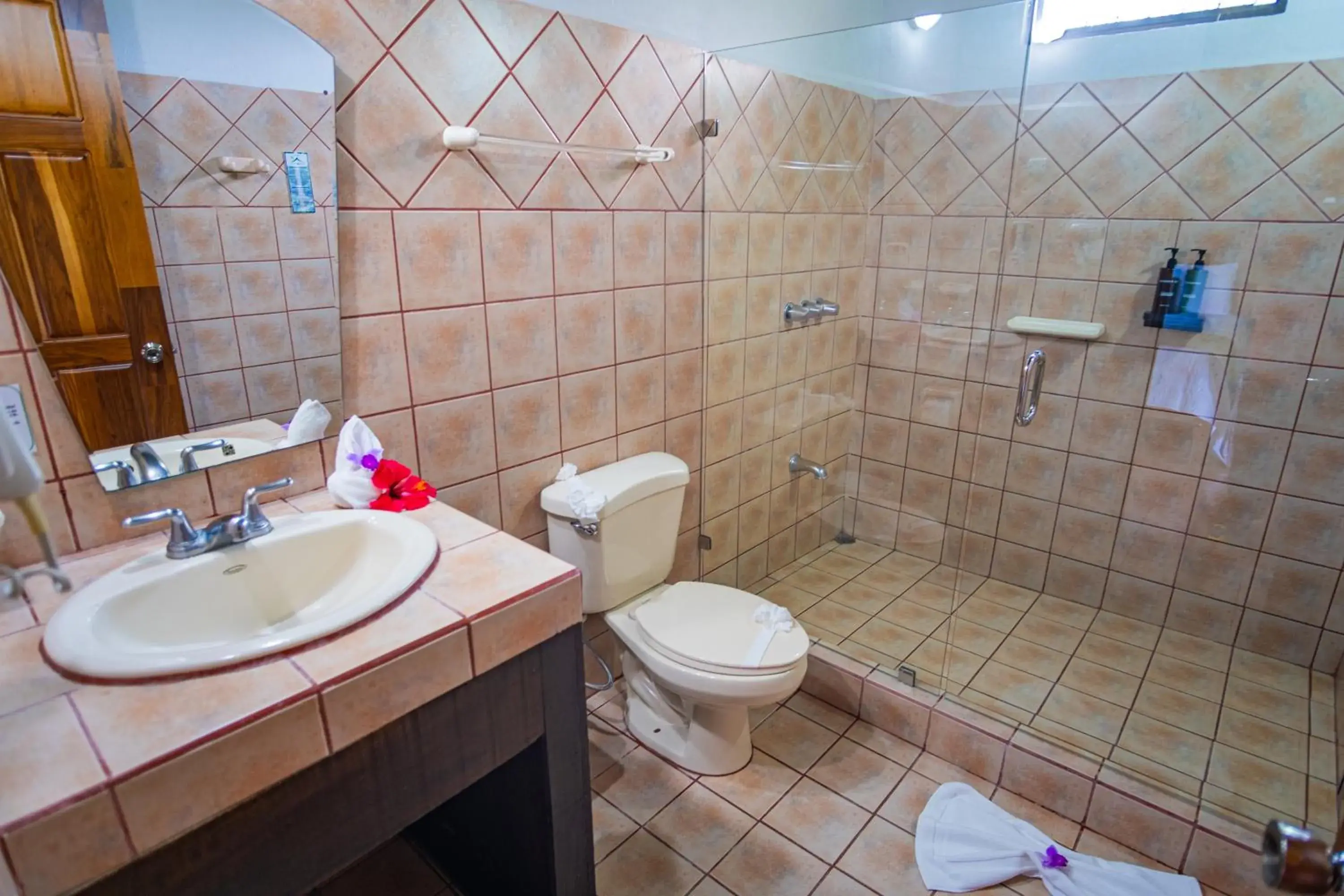 Bathroom in Hotel Campo Verde Bathroom in Hotel Campo Verde