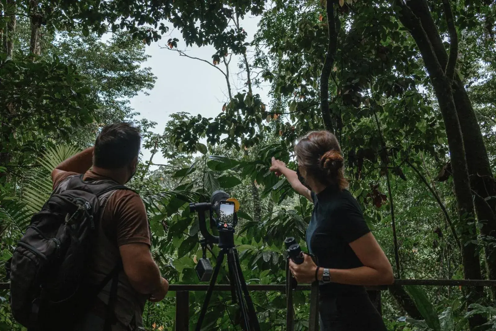 Natural landscape in Hotel Campo Verde Natural landscape in Hotel Campo Verde