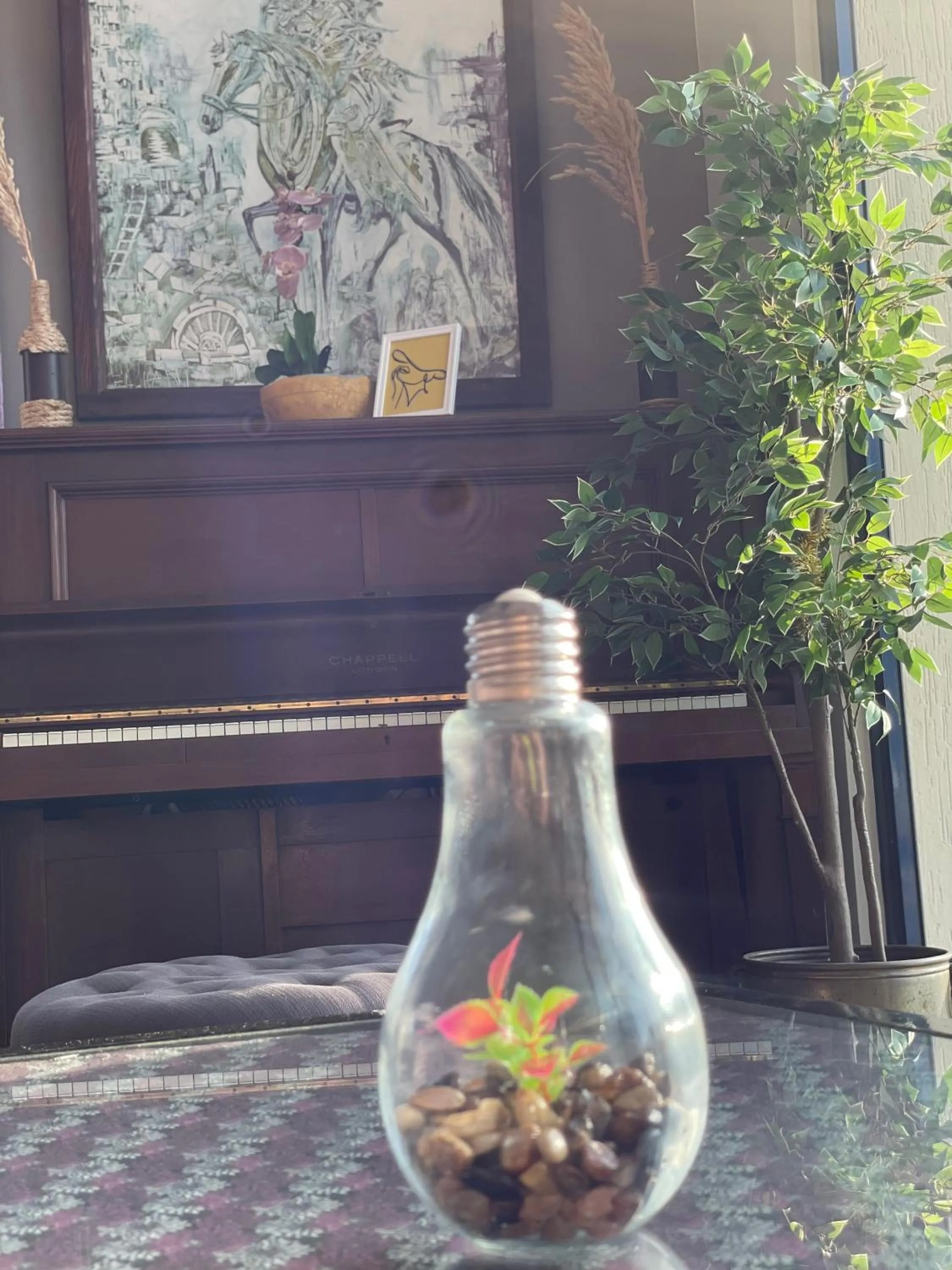 Auberge Oualidia Dream