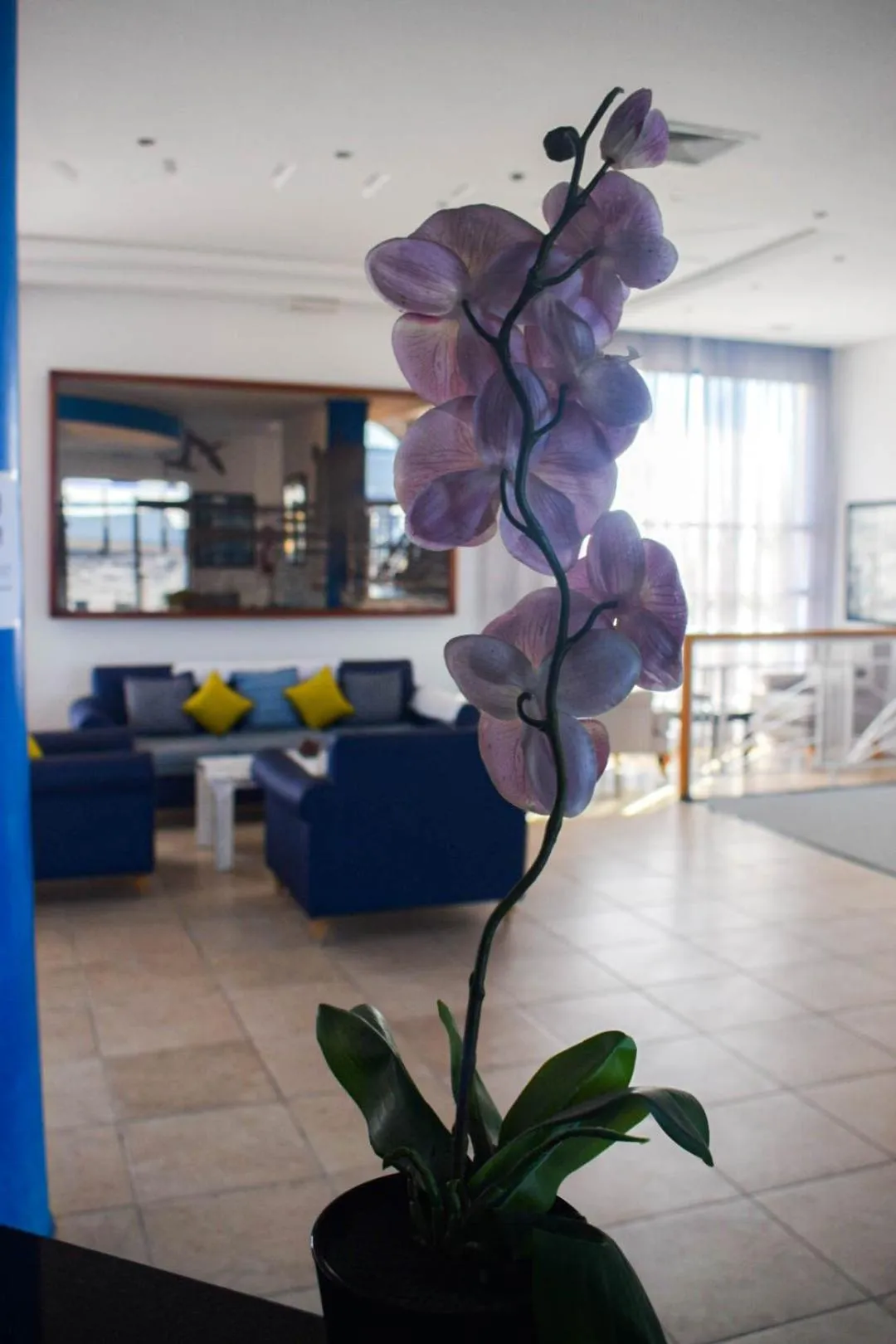 Auberge Oualidia Dream