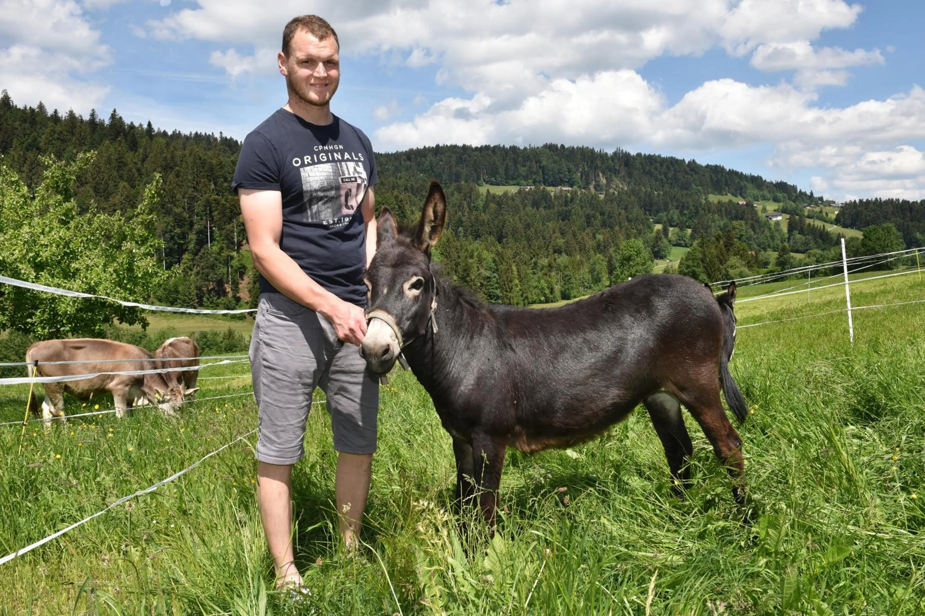Animals in Wiesenhof Rusch