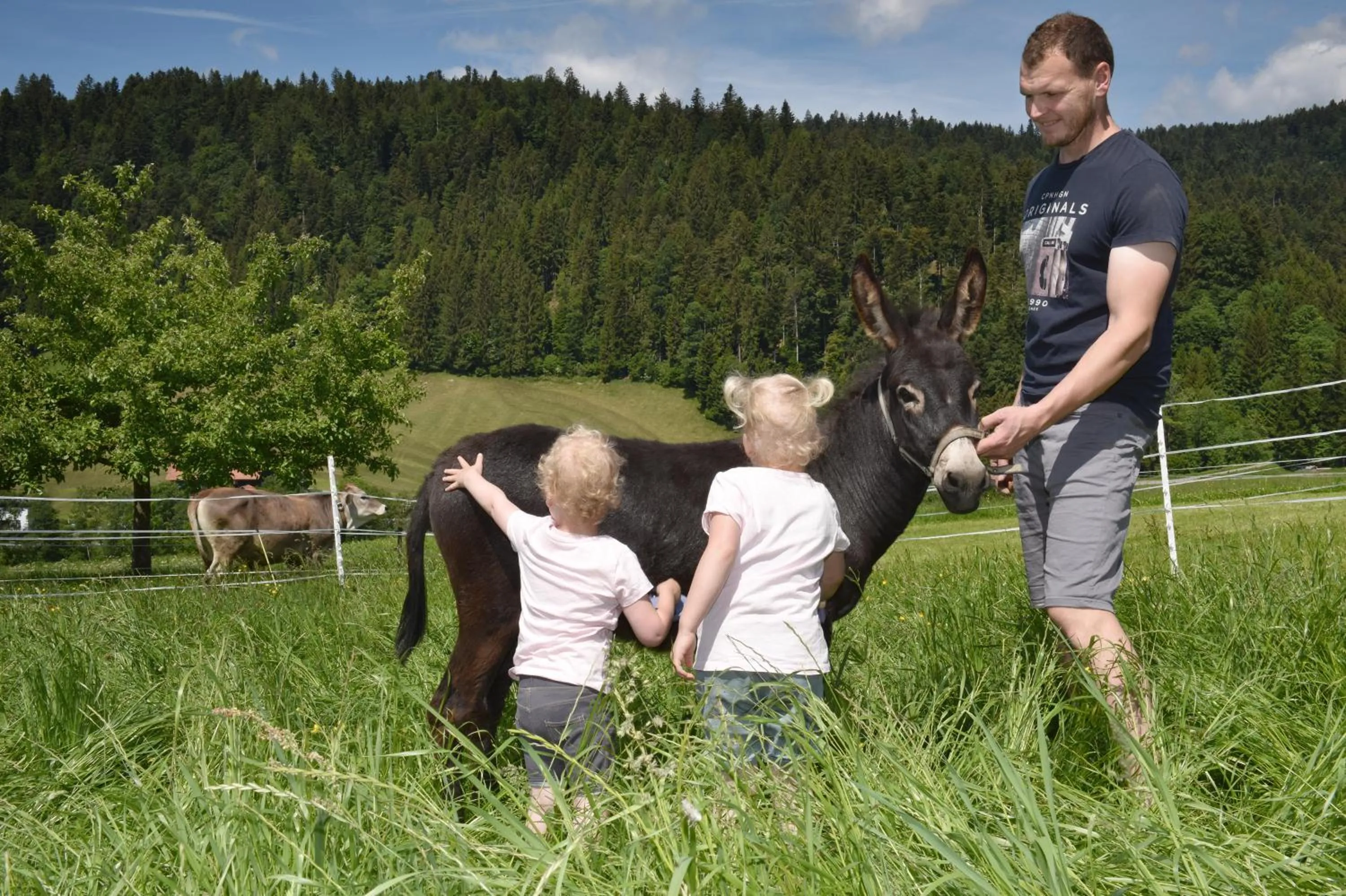 Animals in Wiesenhof Rusch