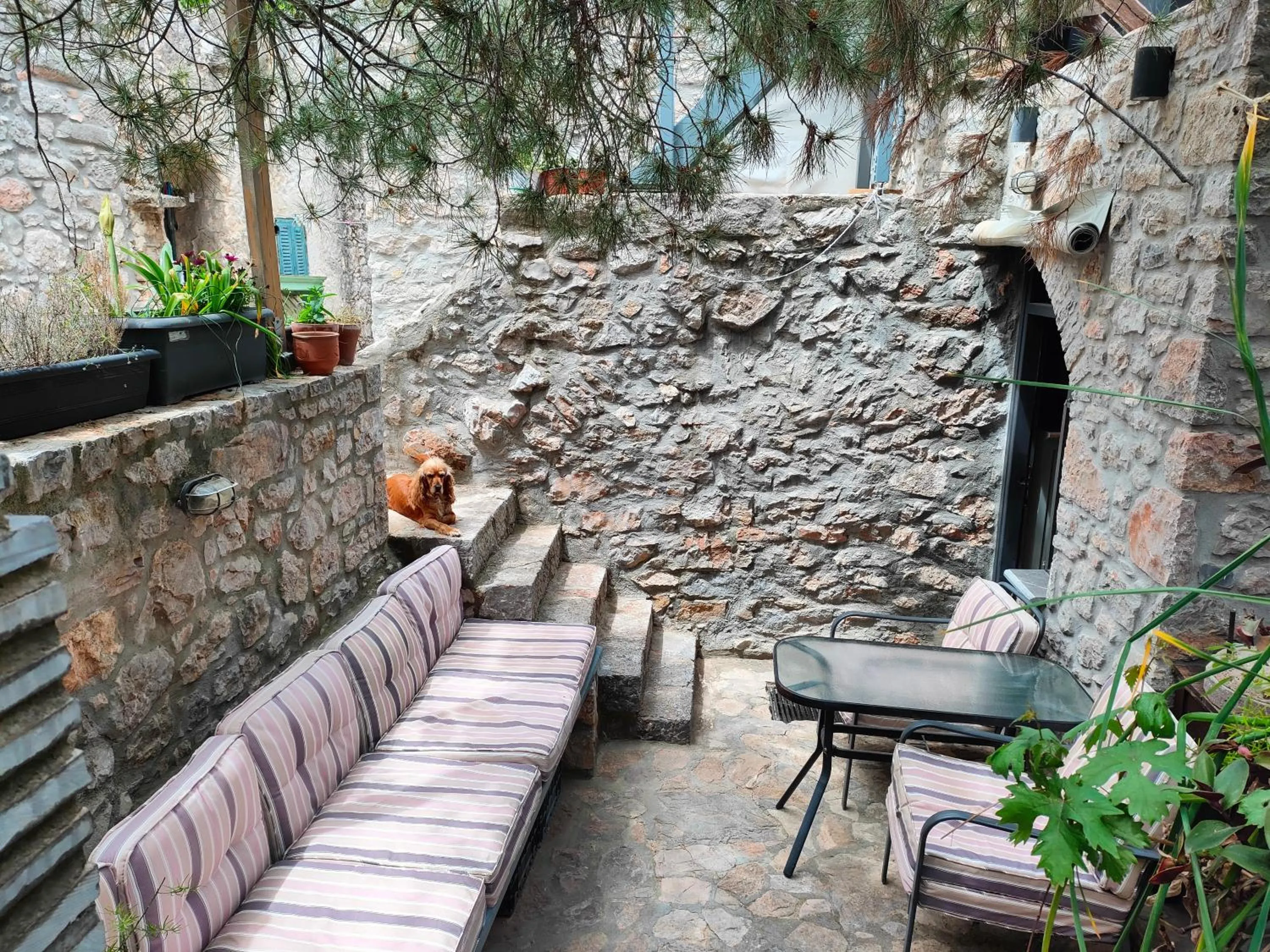 Patio in Avgonima Chios Spitakia Cottages