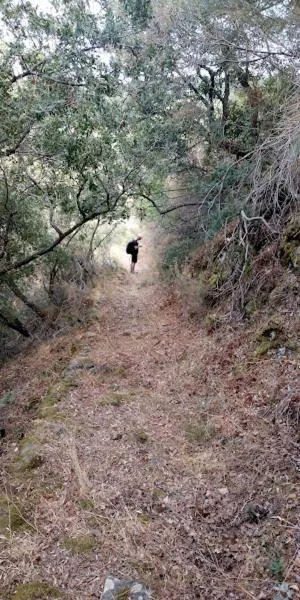 Hiking in Avgonima Chios Spitakia Cottages