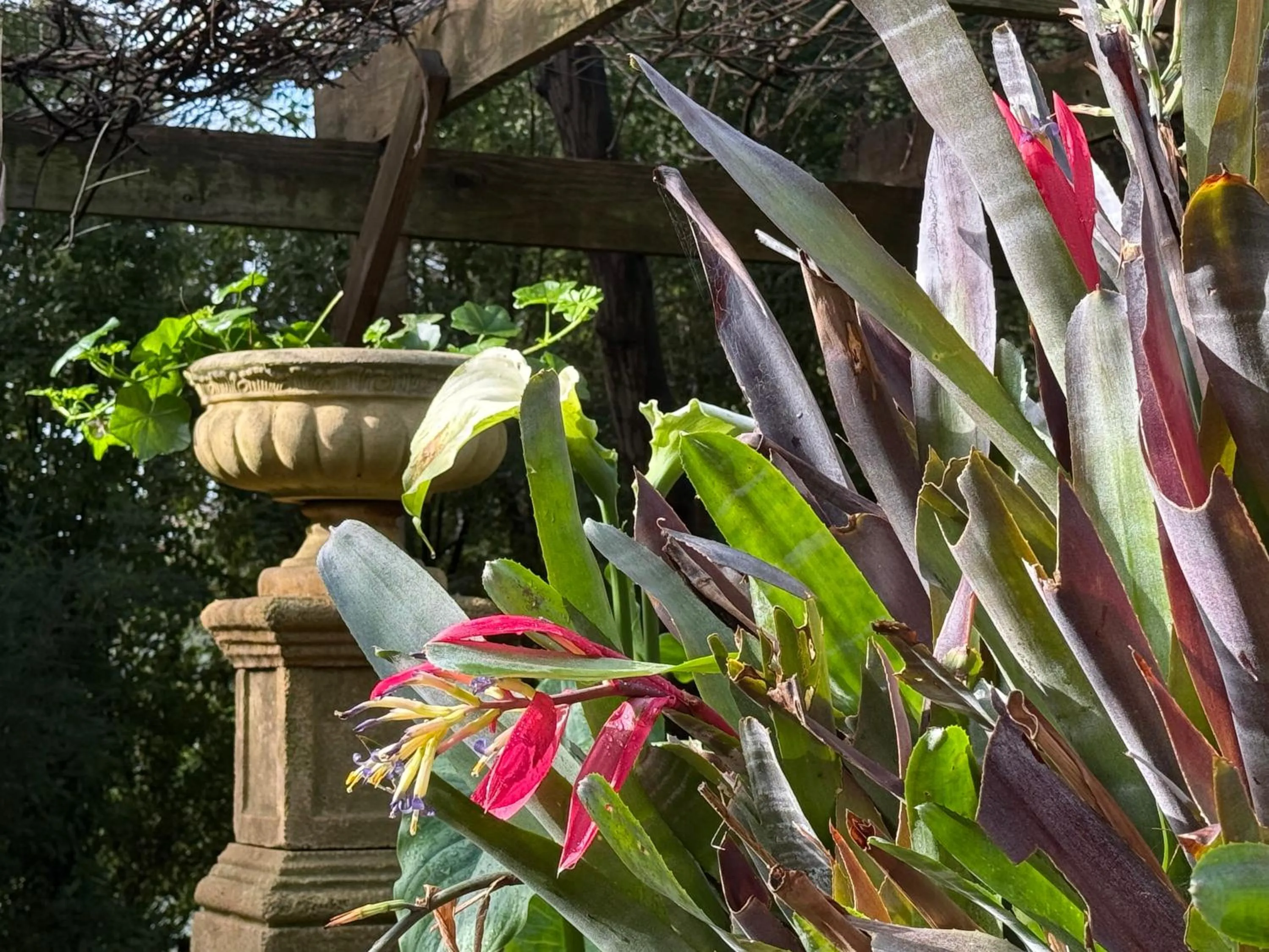 The Castle - Villa by the Sea