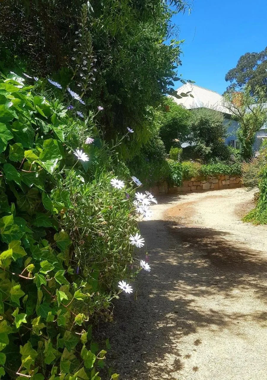 Natural landscape in Red Brier Cottage Accommodation