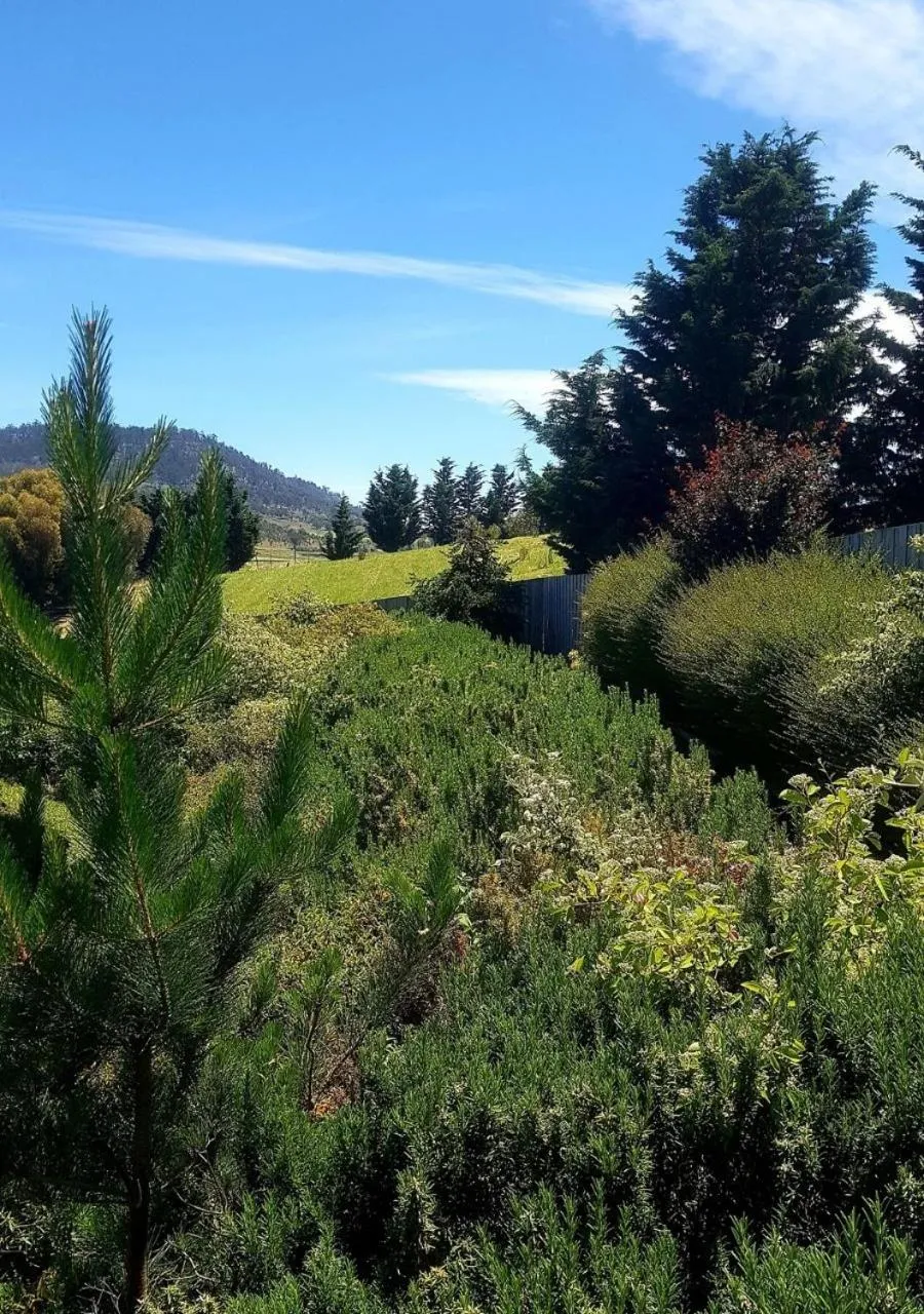 Garden in Red Brier Cottage Accommodation