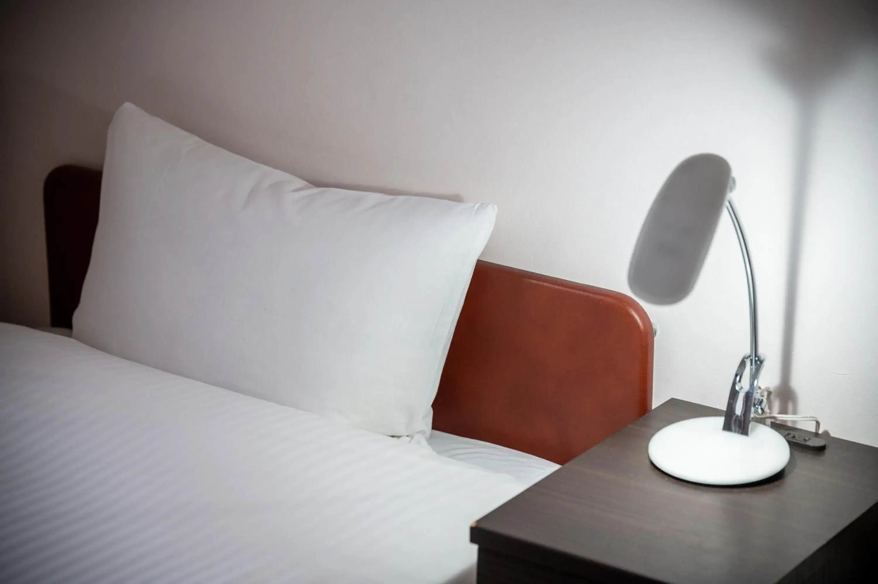 Double Room - Non-Smoking in Kagoshima Daiichi Hotel Kamoike Double Room - Non-Smoking in Kagoshima Daiichi Hotel Kamoike