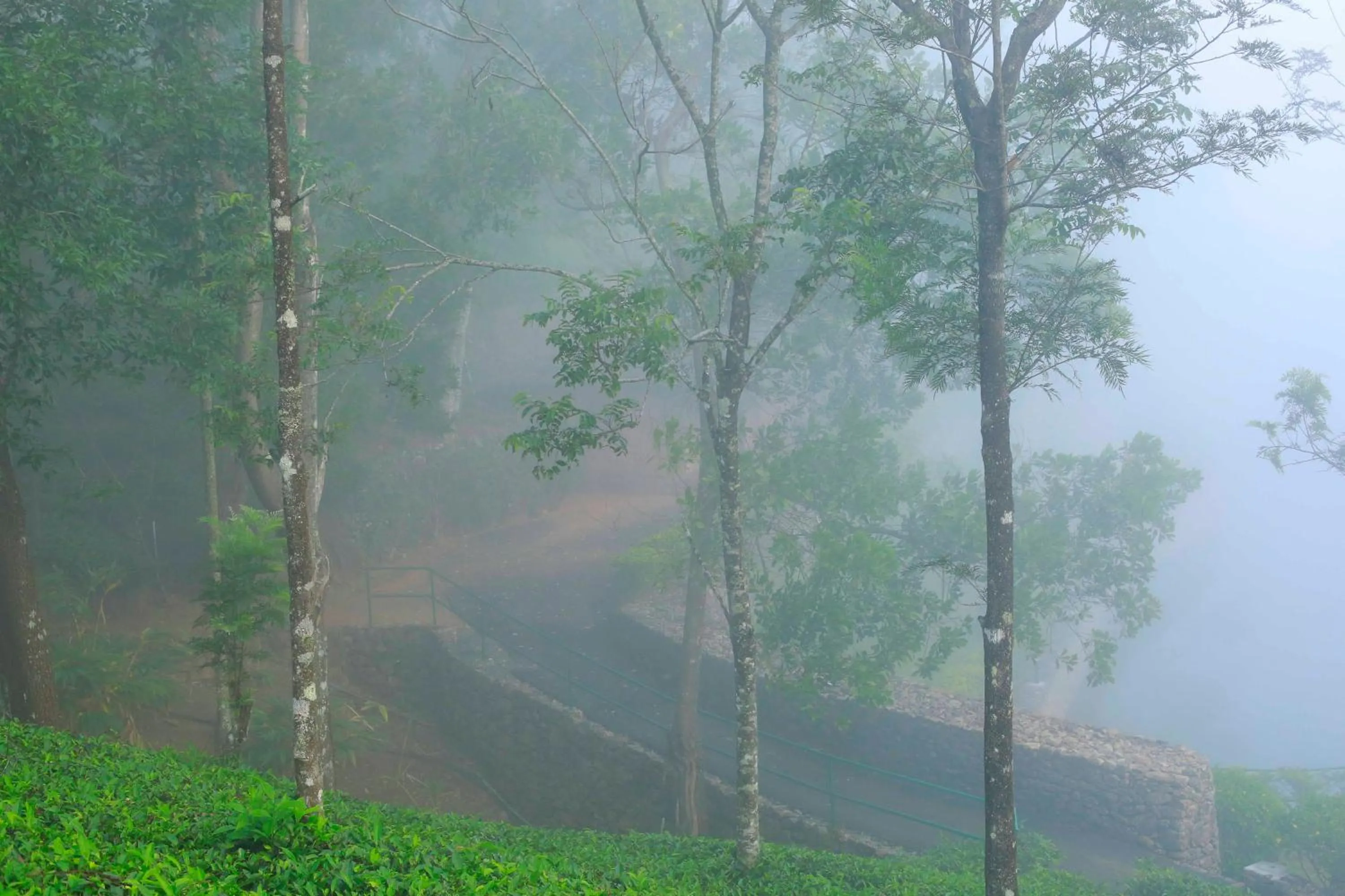 Saj Vagamon Hideout