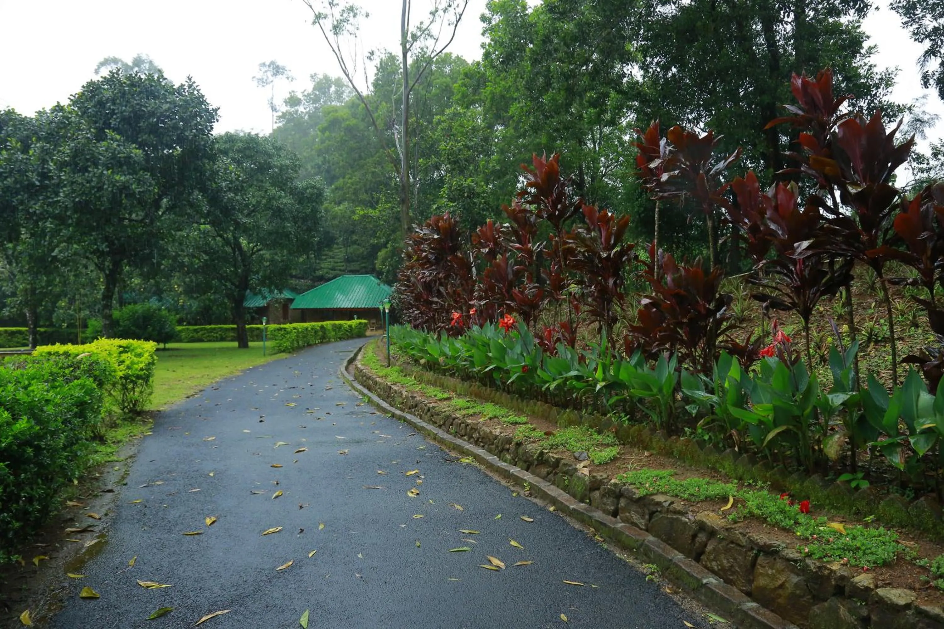 Garden in Saj Vagamon Hideout