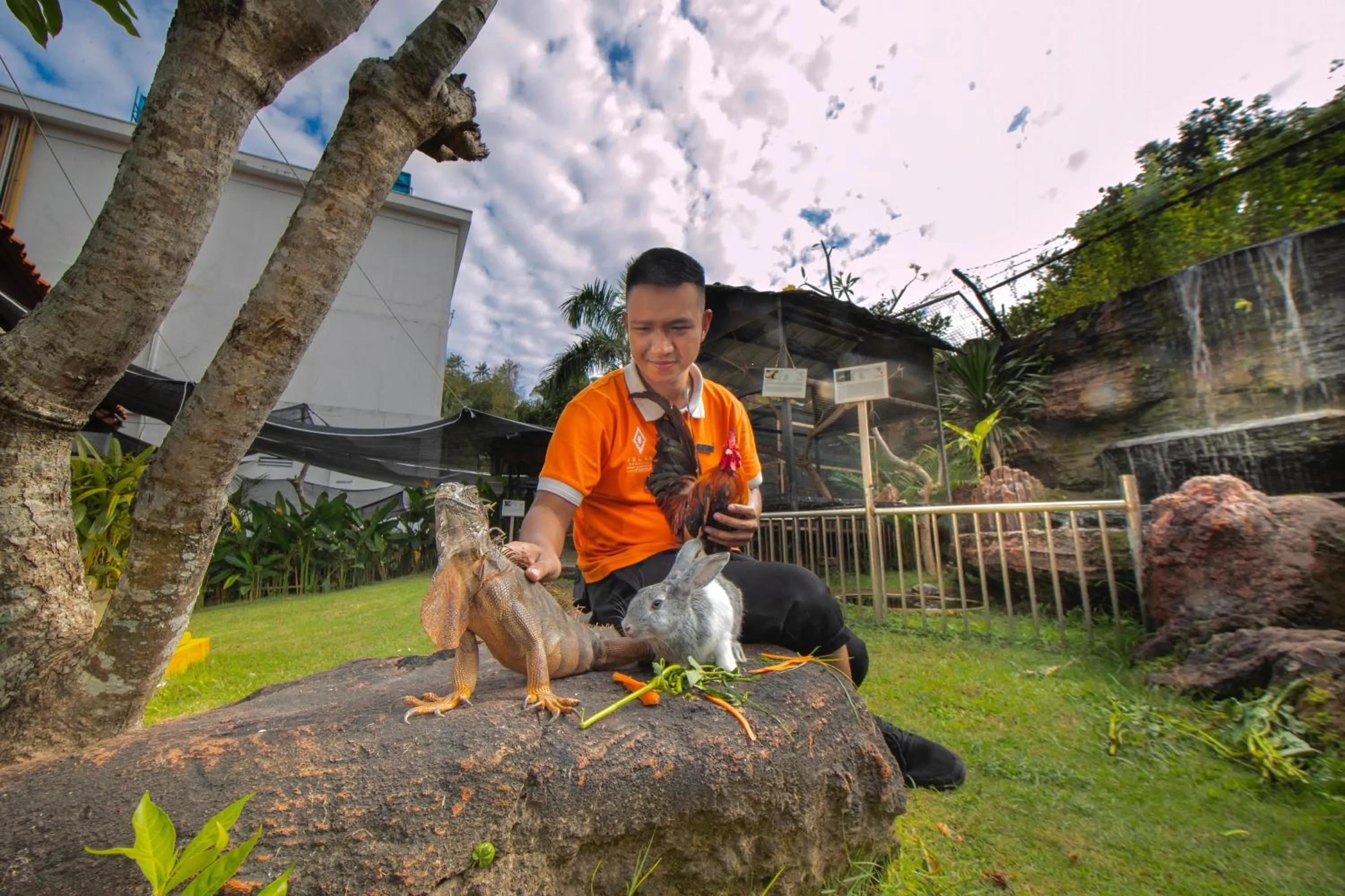 Garden in Aruna Senggigi Resort & Convention