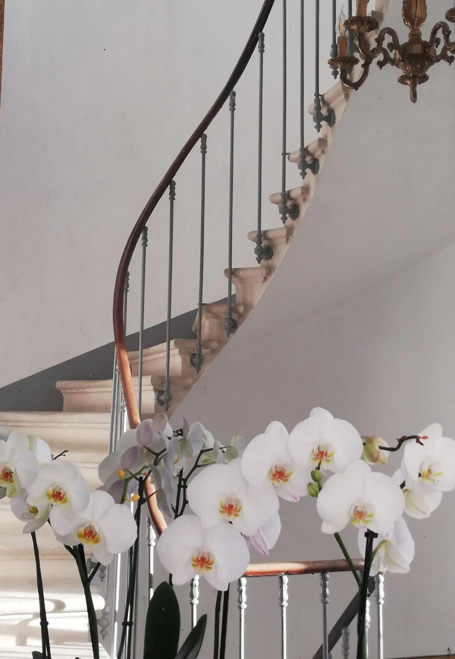 Property building in L'Angély - Chambres d'Hôtes