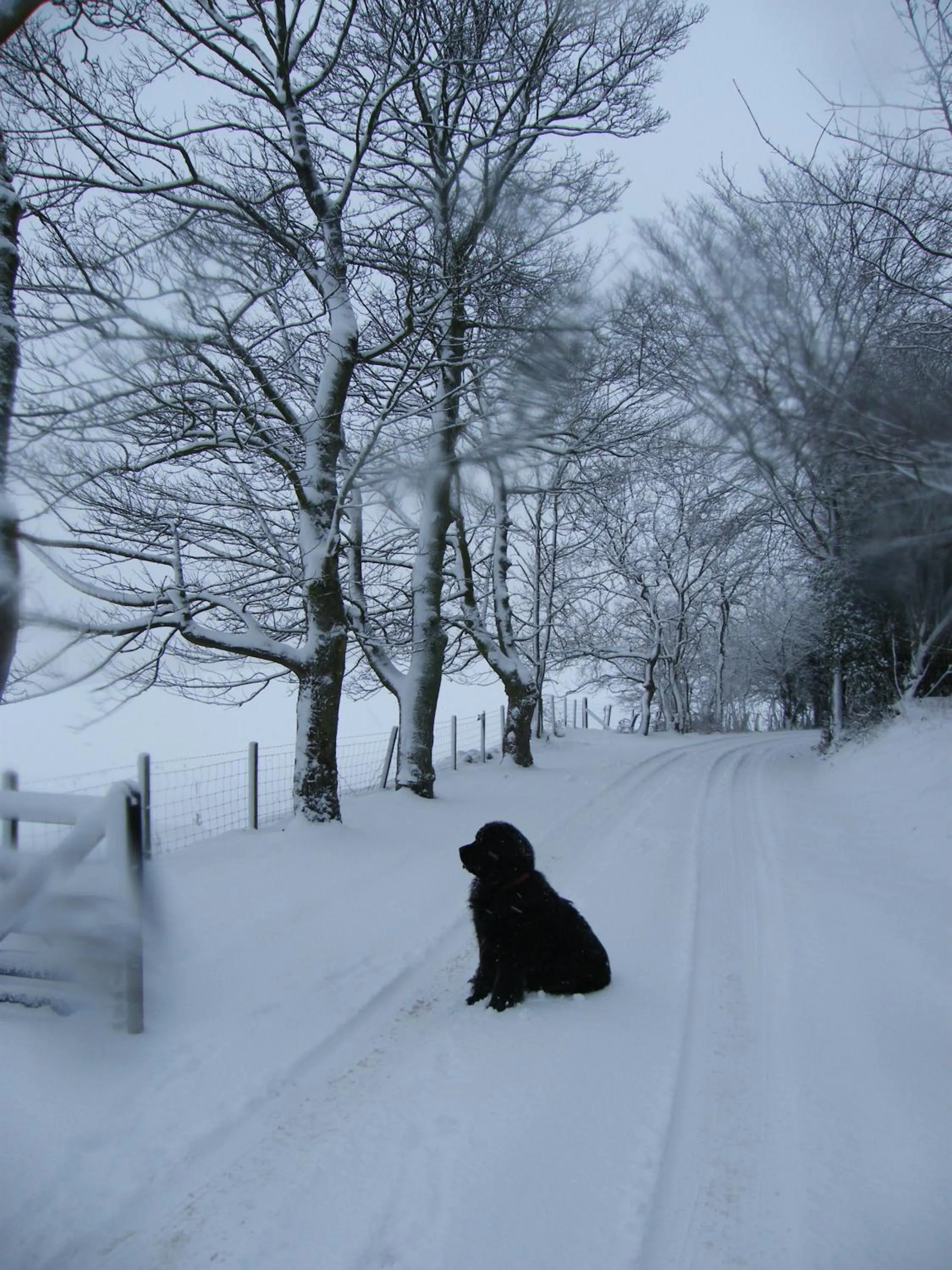 Winter in Arden Country House