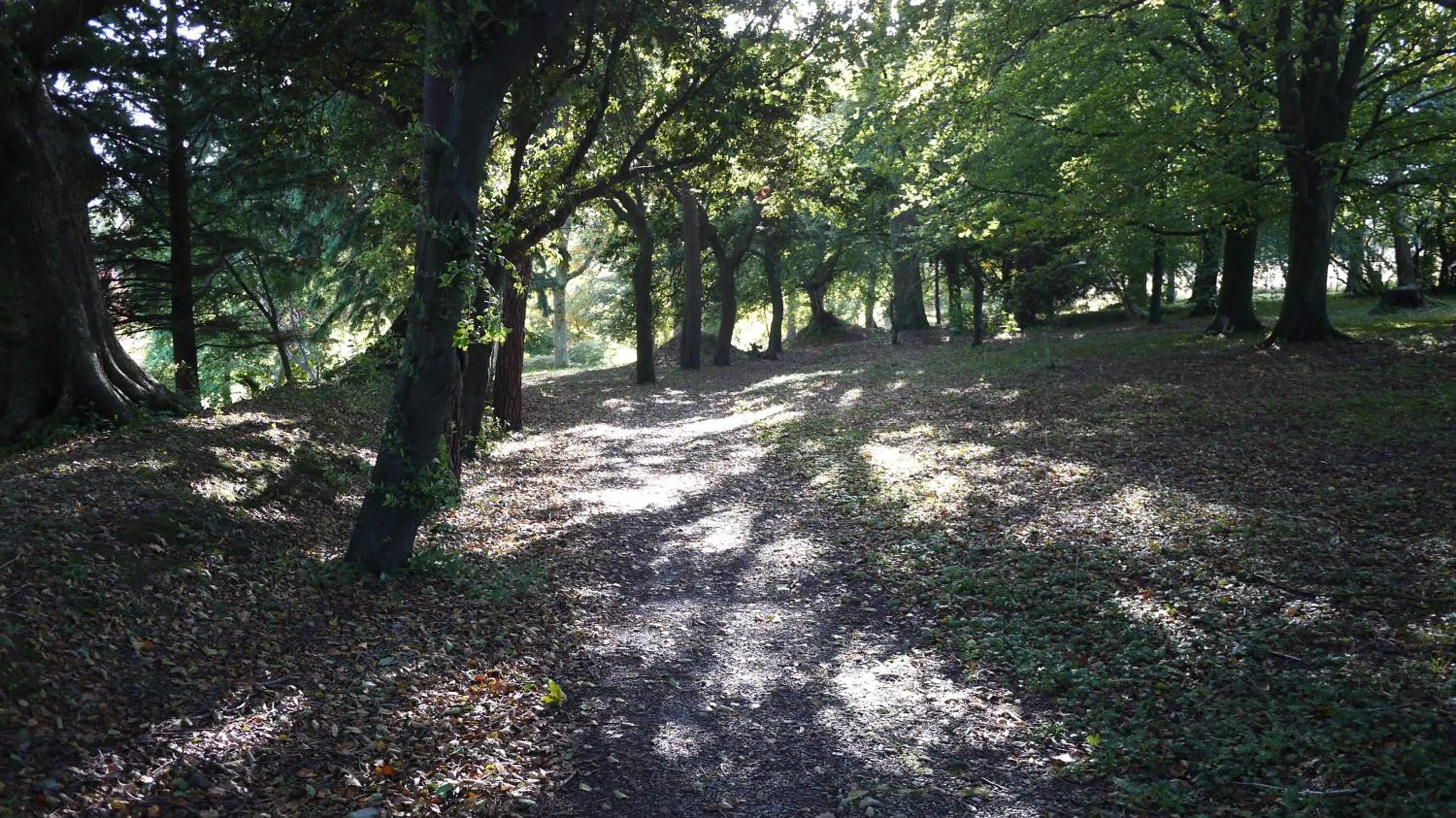 Garden in Dartington Hall