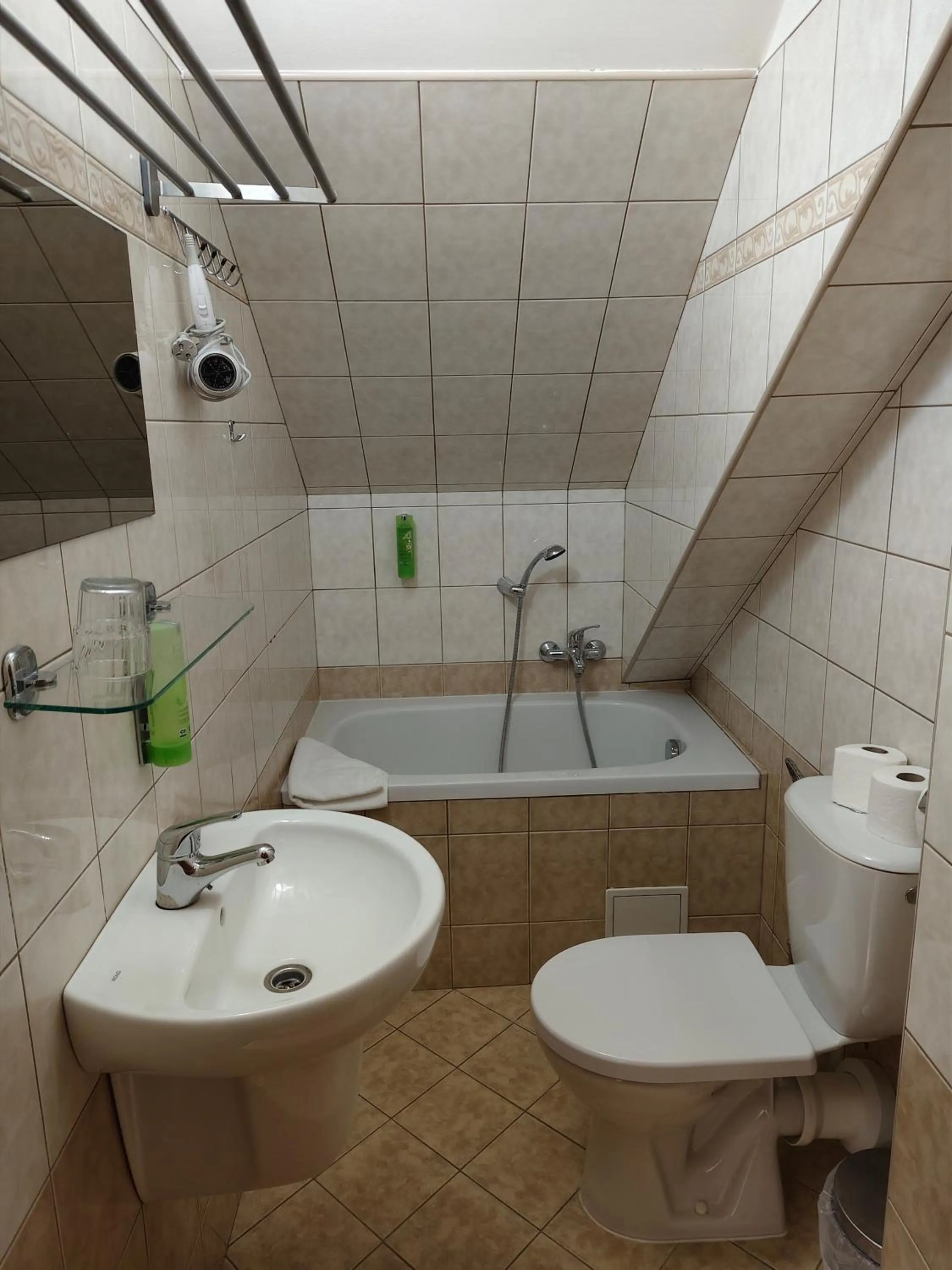 Hotel Bílý Koníček