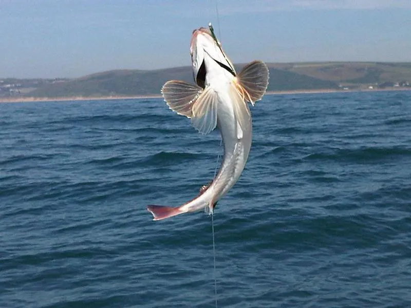 Fishing in The West Country Inn