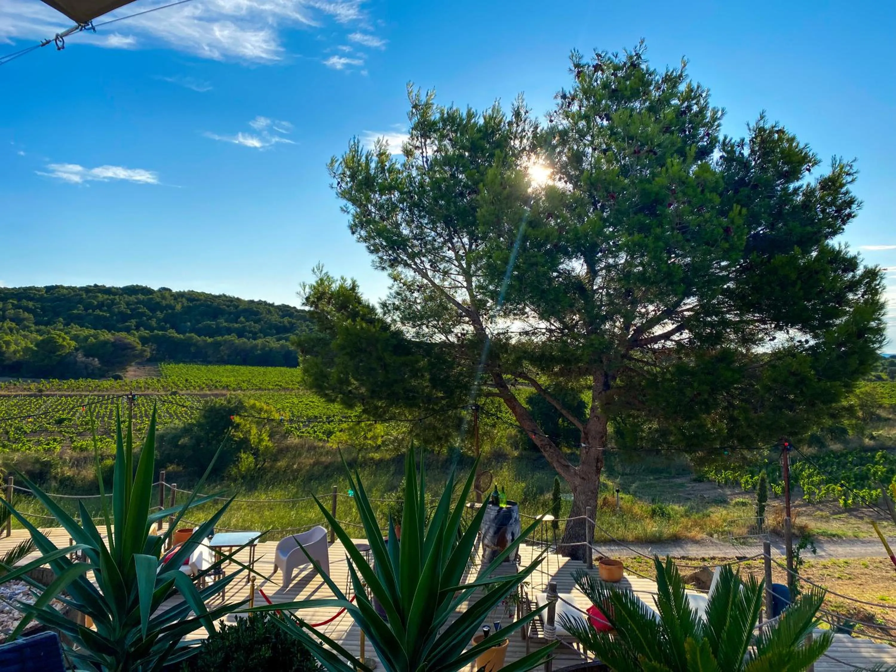 Property building in Château le Bouïs